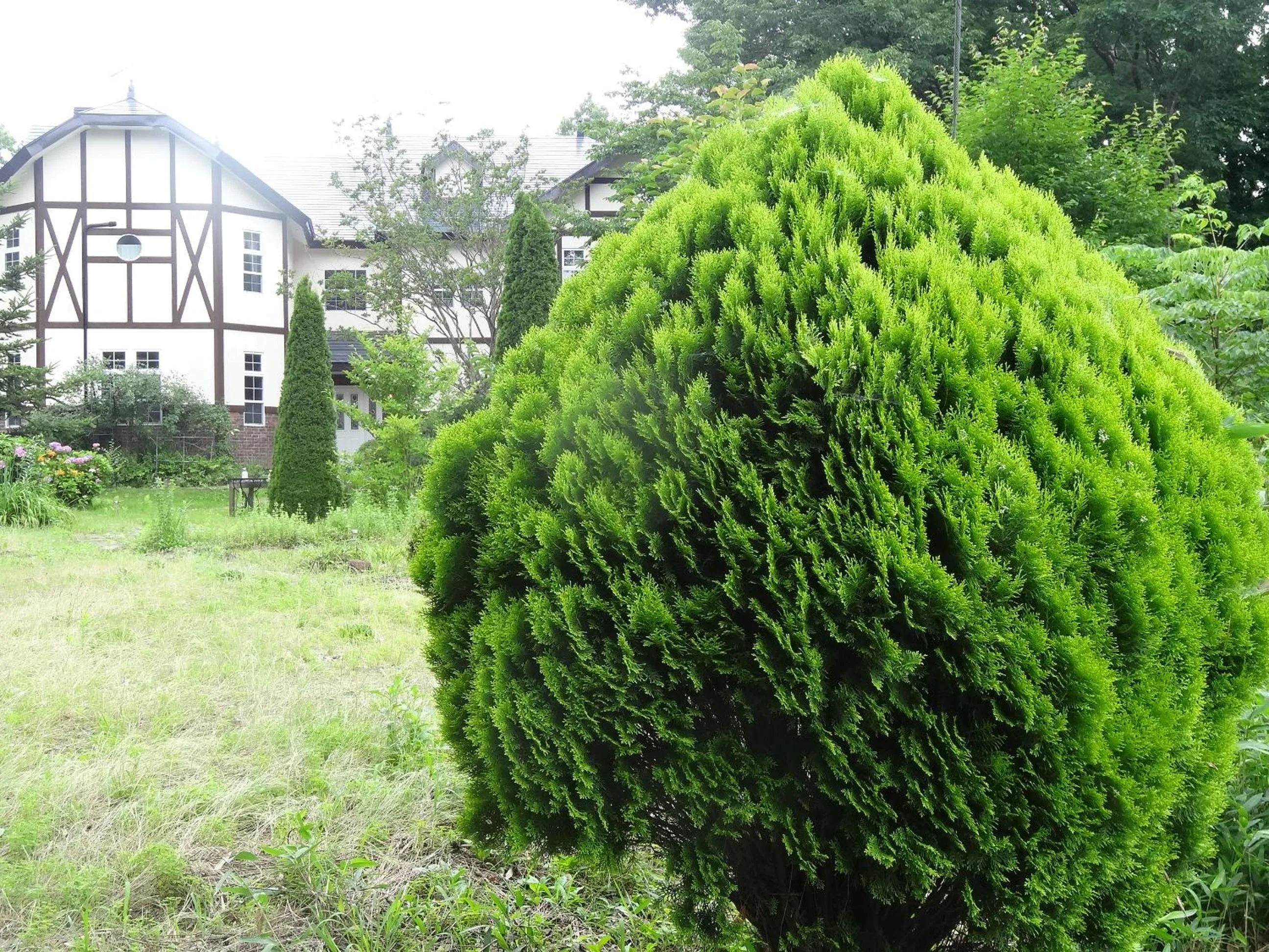 Facade/entrance in Gasthof Arutany
