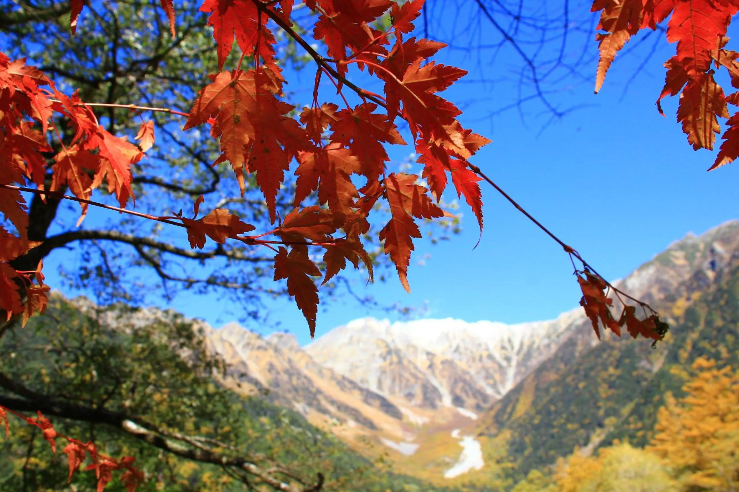 Natural landscape in Kamikochi Hotel Shirakabaso