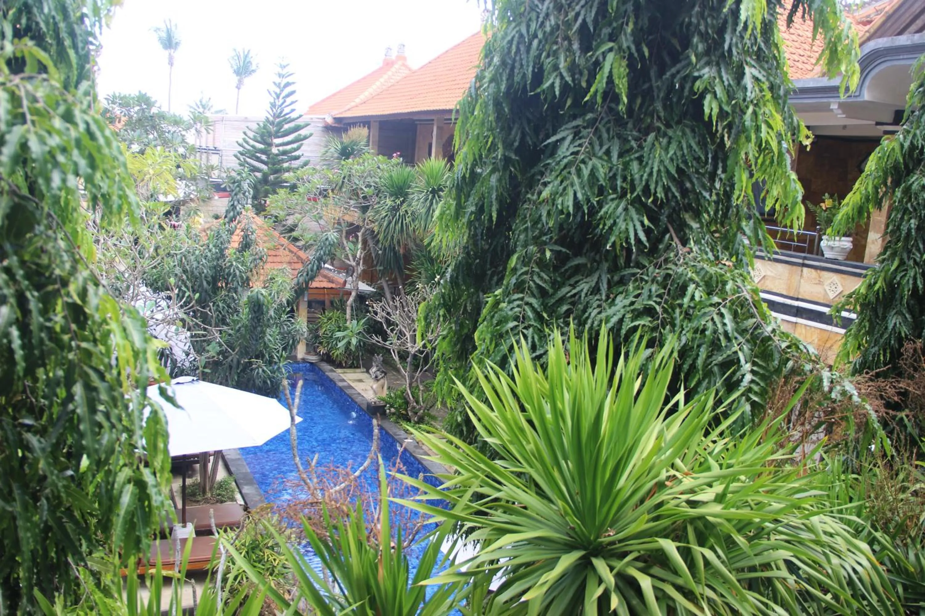 Garden in Nitya Home Stay Lembongan