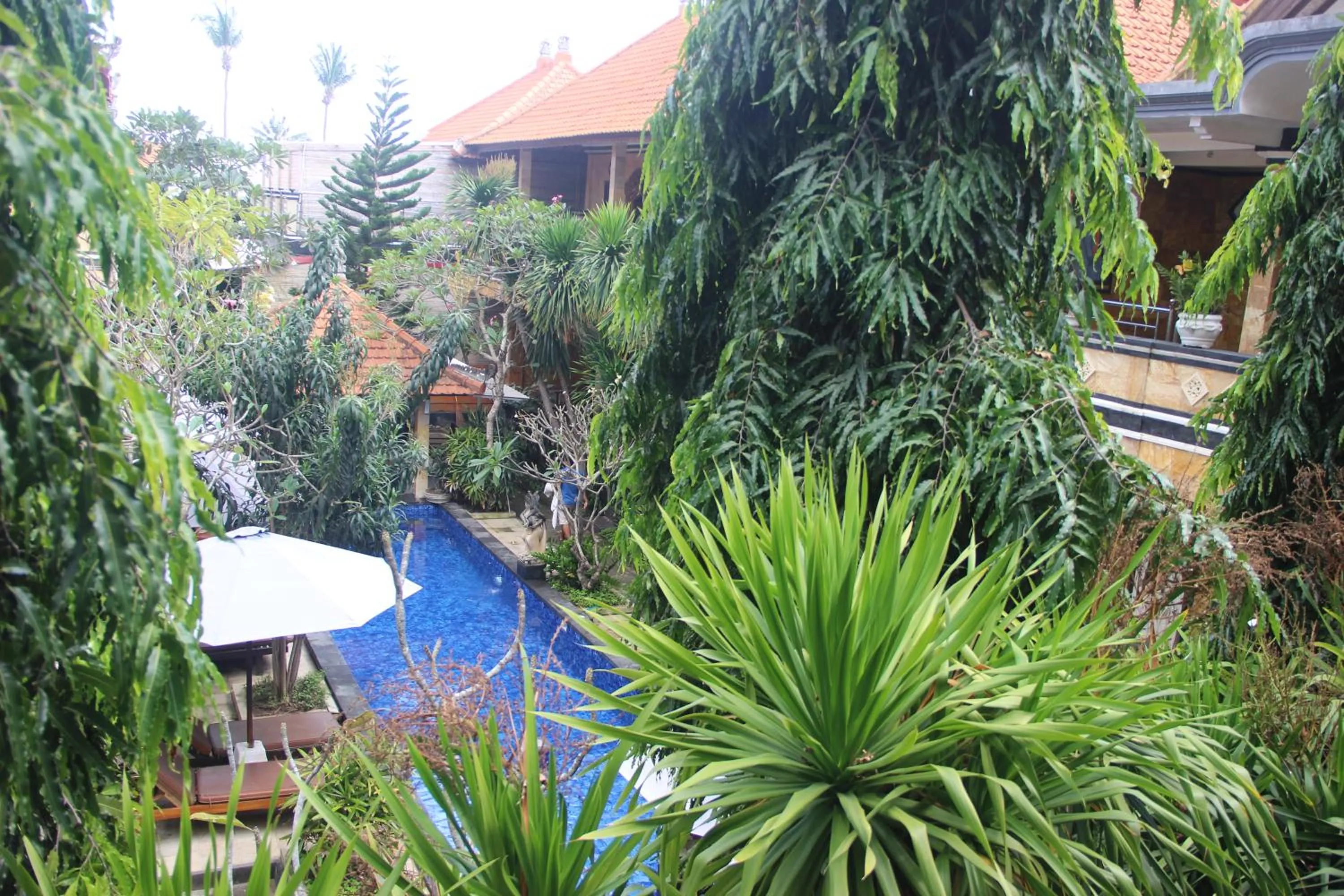 Garden in Nitya Home Stay Lembongan