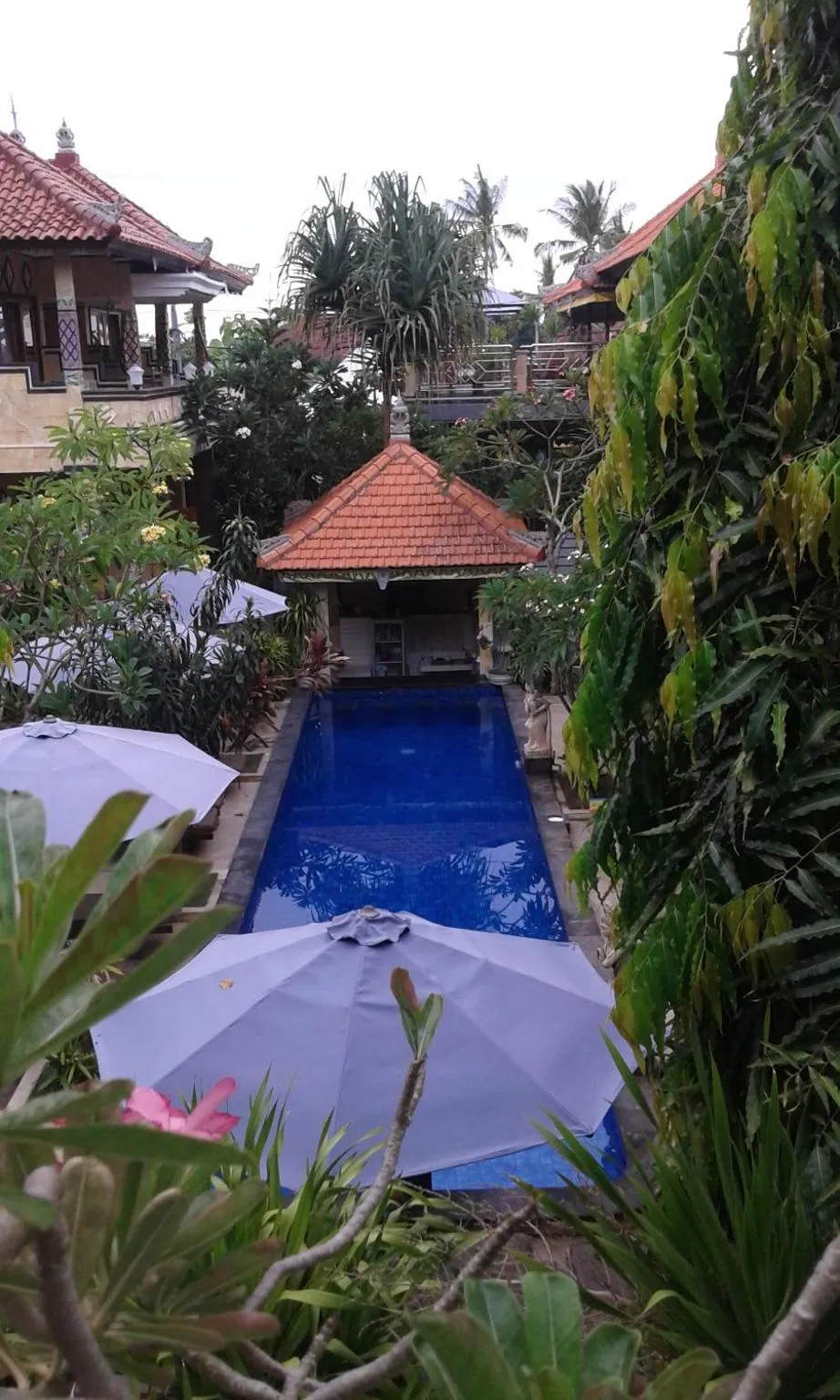 Swimming pool in Nitya Home Stay Lembongan
