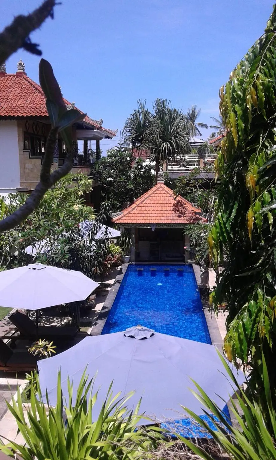 Pool view in Nitya Home Stay Lembongan