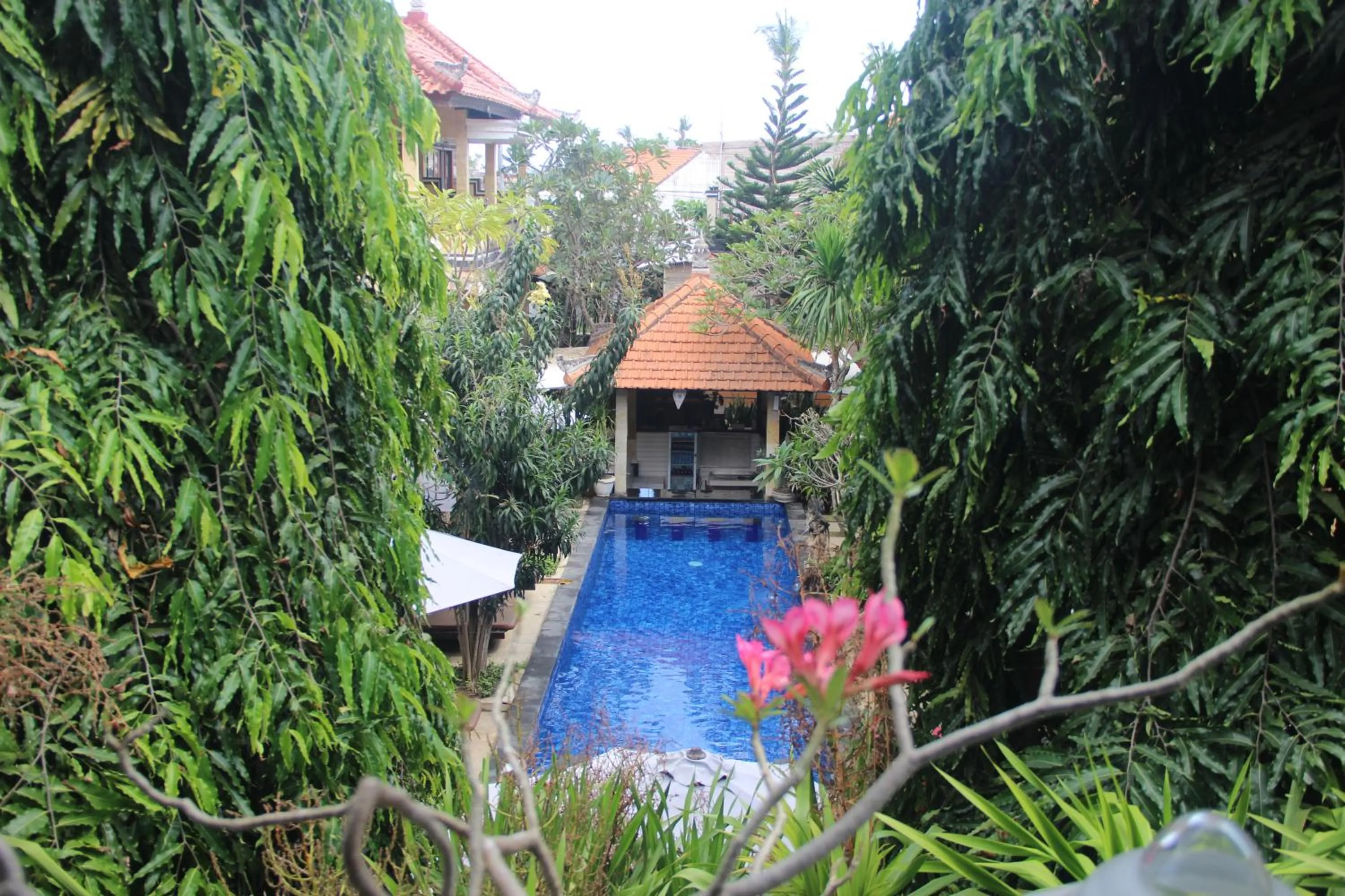 Pool view in Nitya Home Stay Lembongan