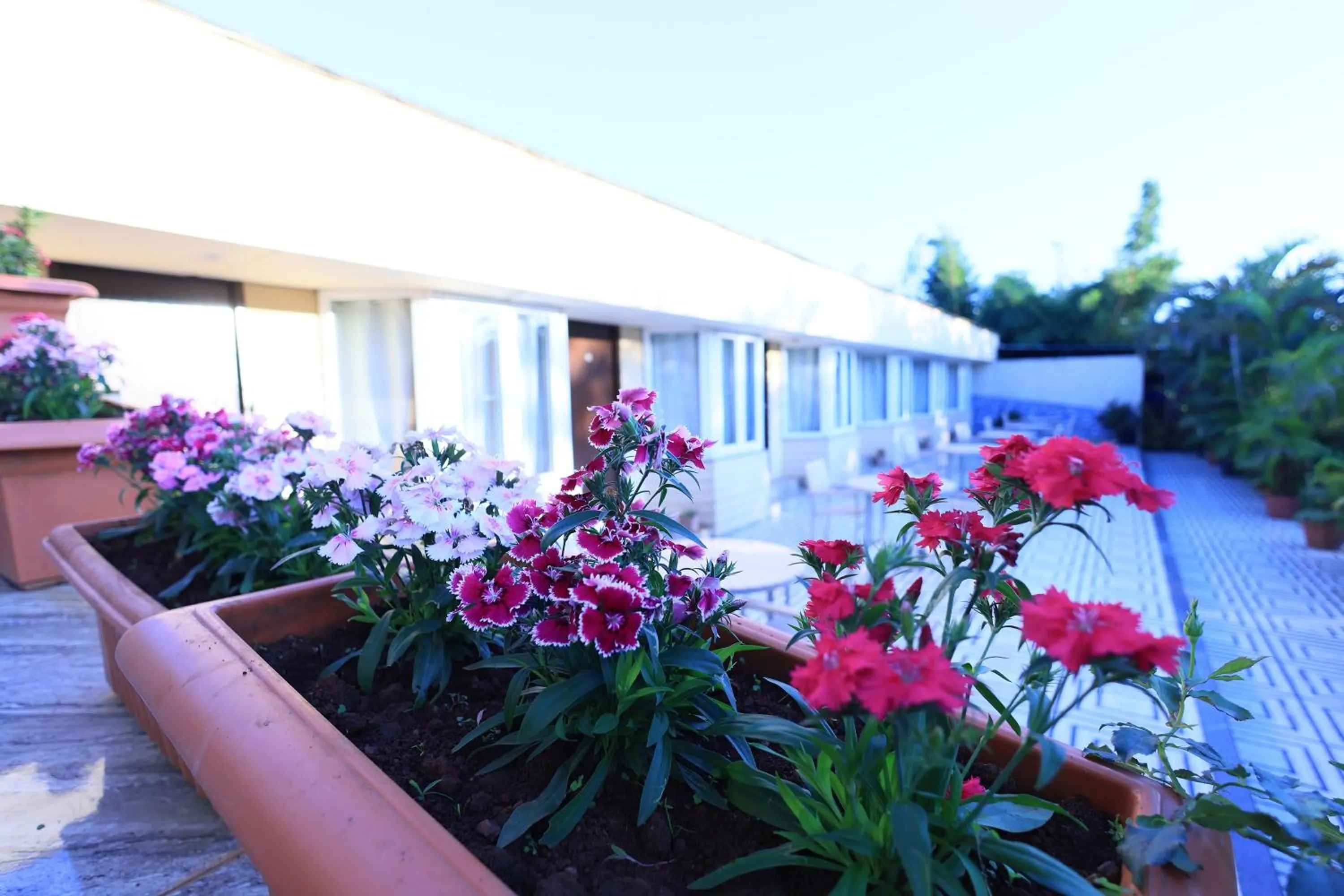 Property building in Hotel King Garden