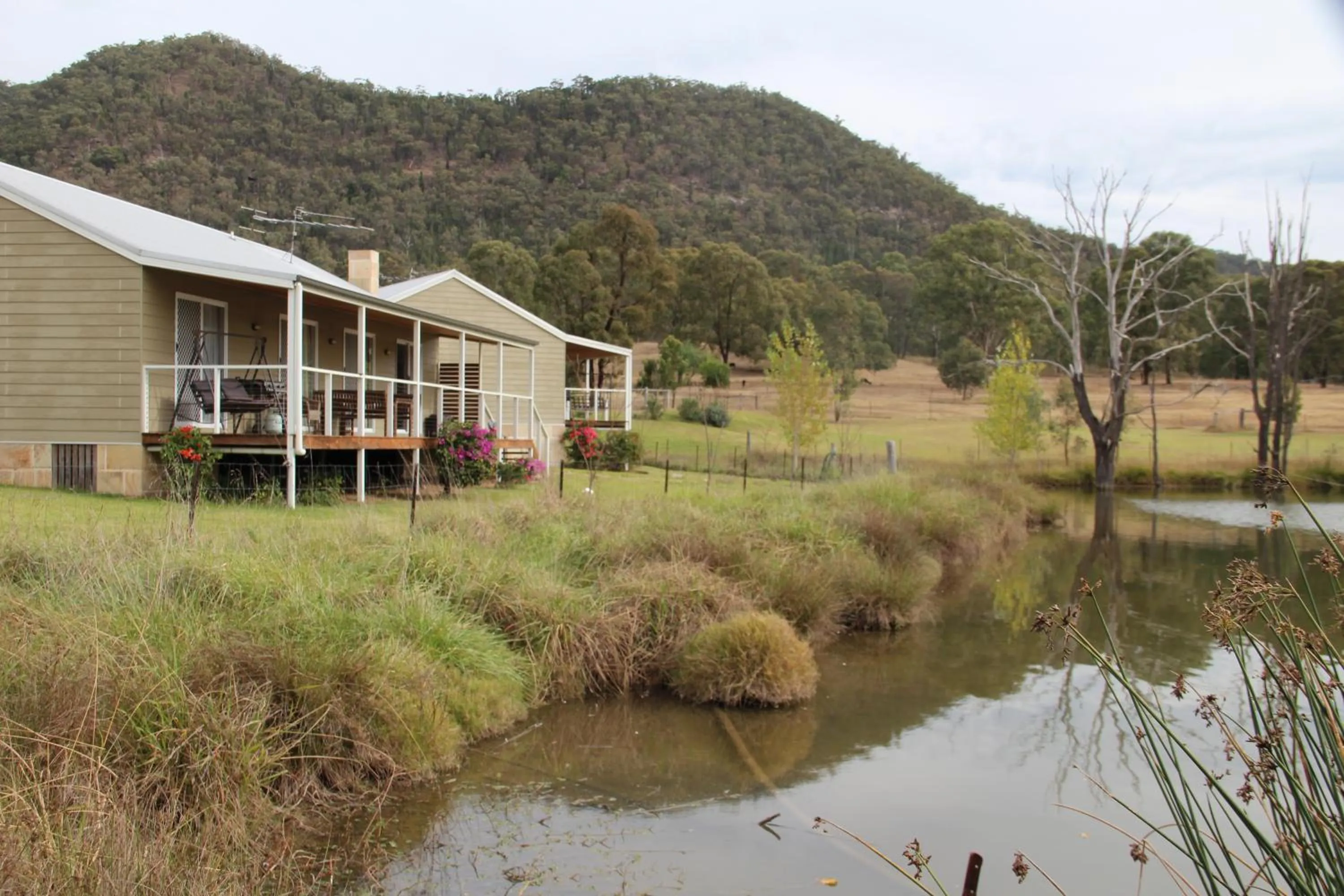 Property building in Starline Alpacas Farmstay Resort