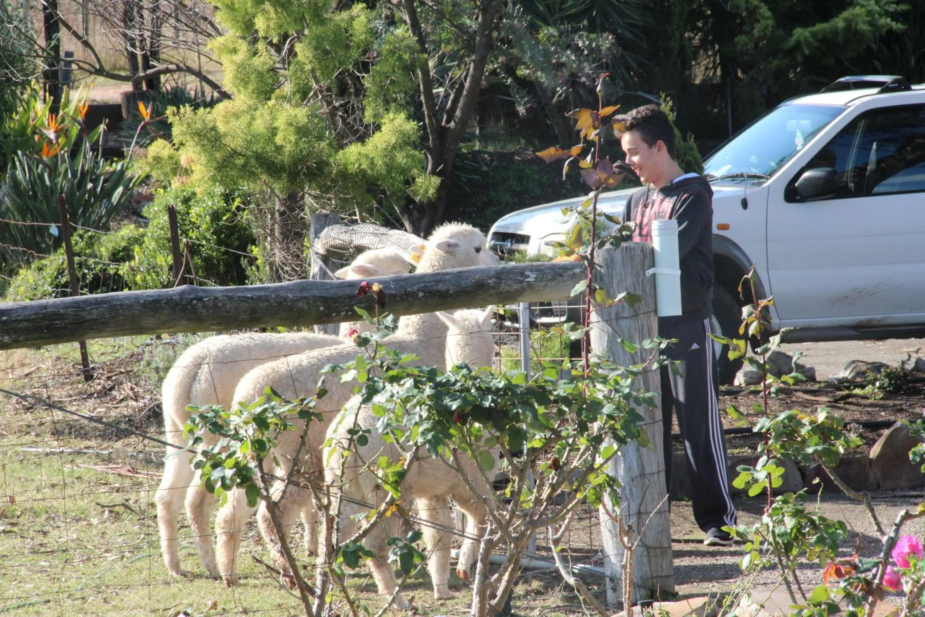 Garden in Starline Alpacas Farmstay Resort