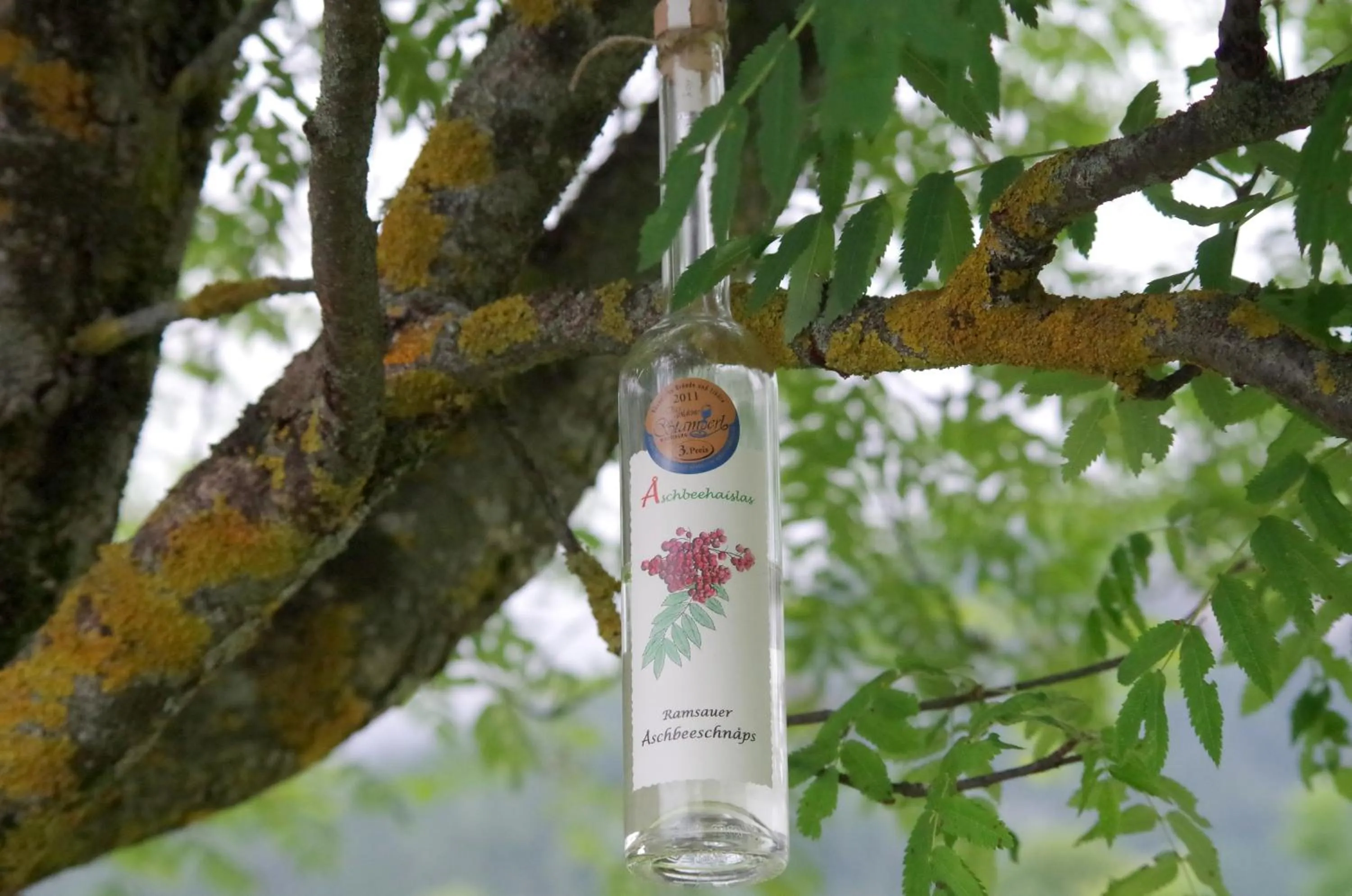 Food and drinks in Hotel Berghof