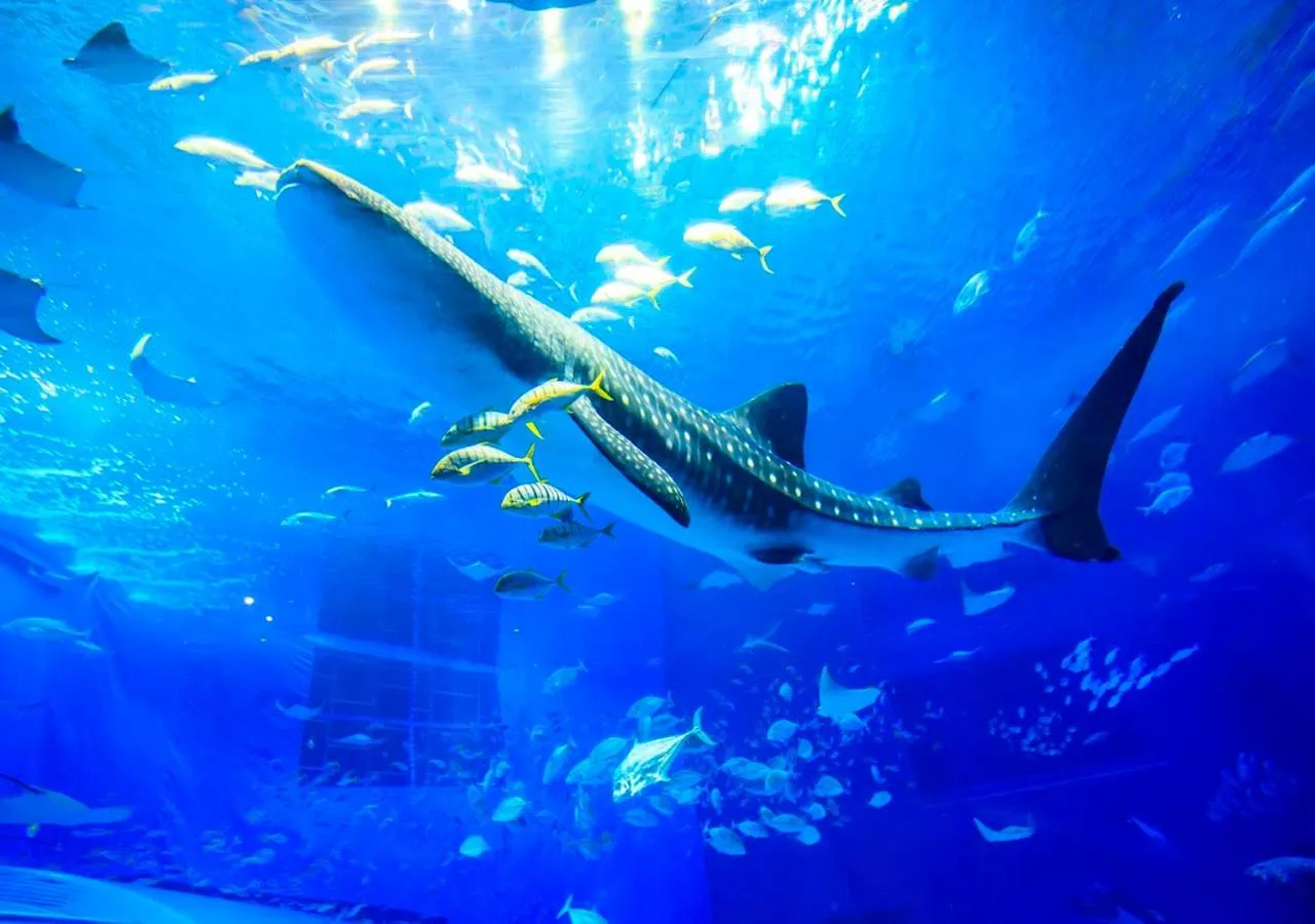 Nearby landmark in Hotel Mahaina Wellness Resorts Okinawa