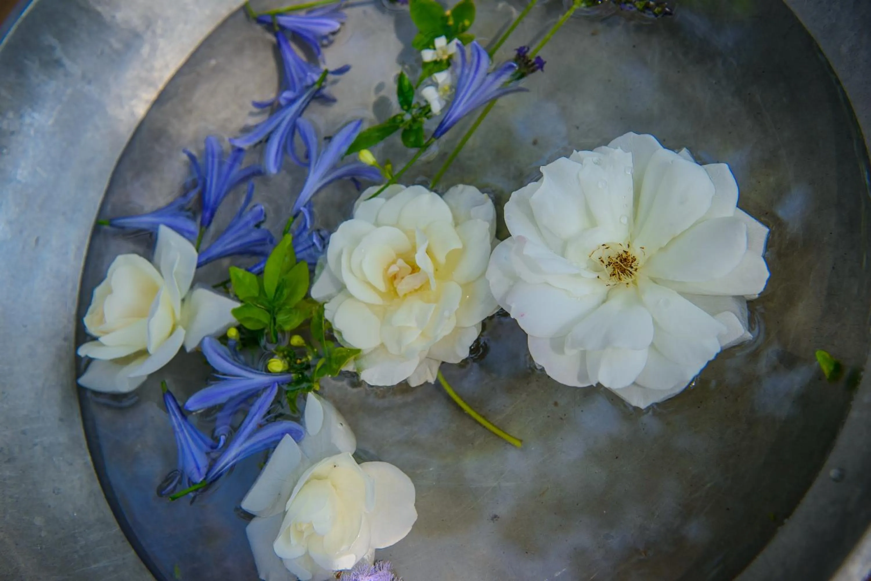 Massage in Summerfields Rose Retreat and Spa