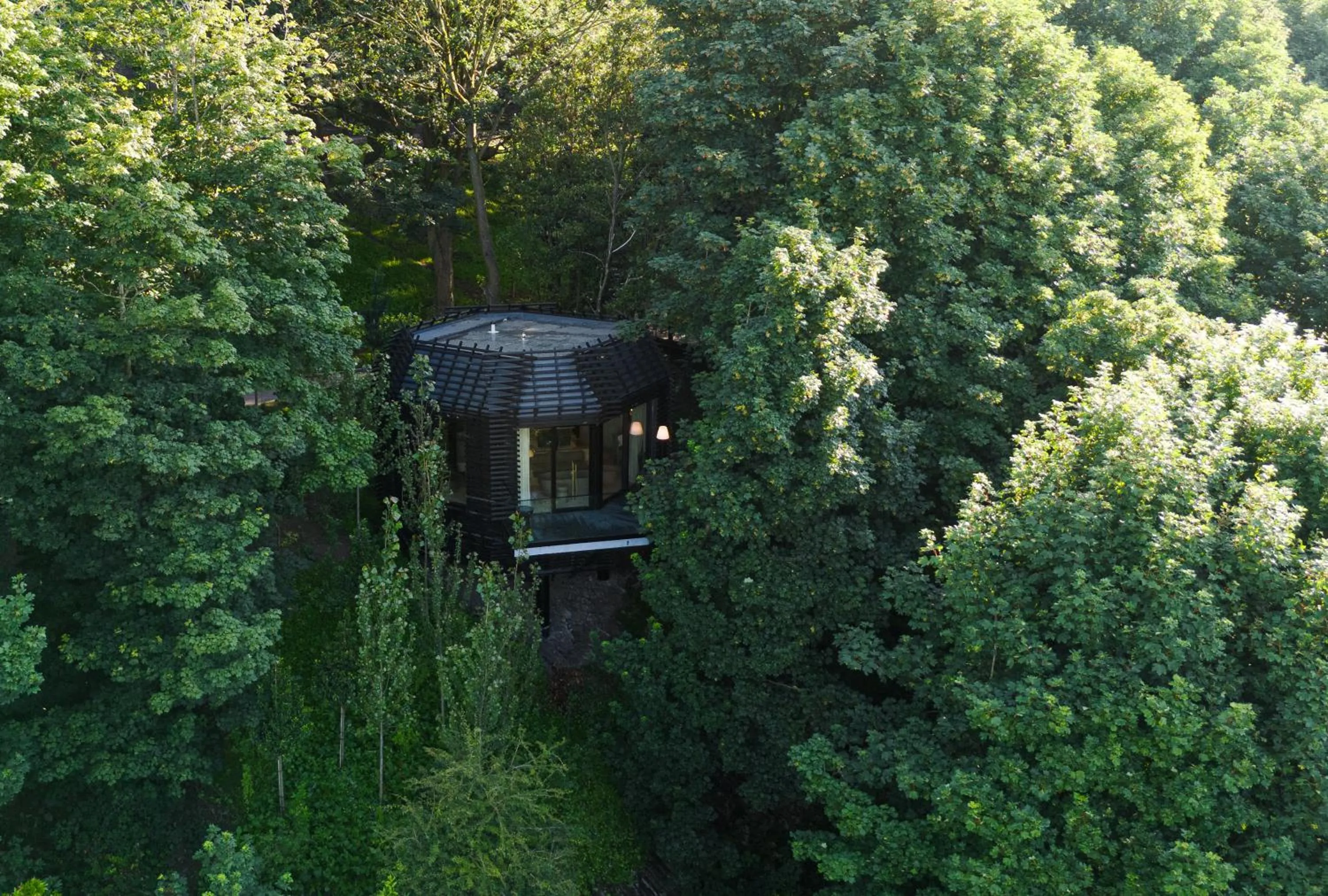 Natural landscape in The Montenotte Hotel