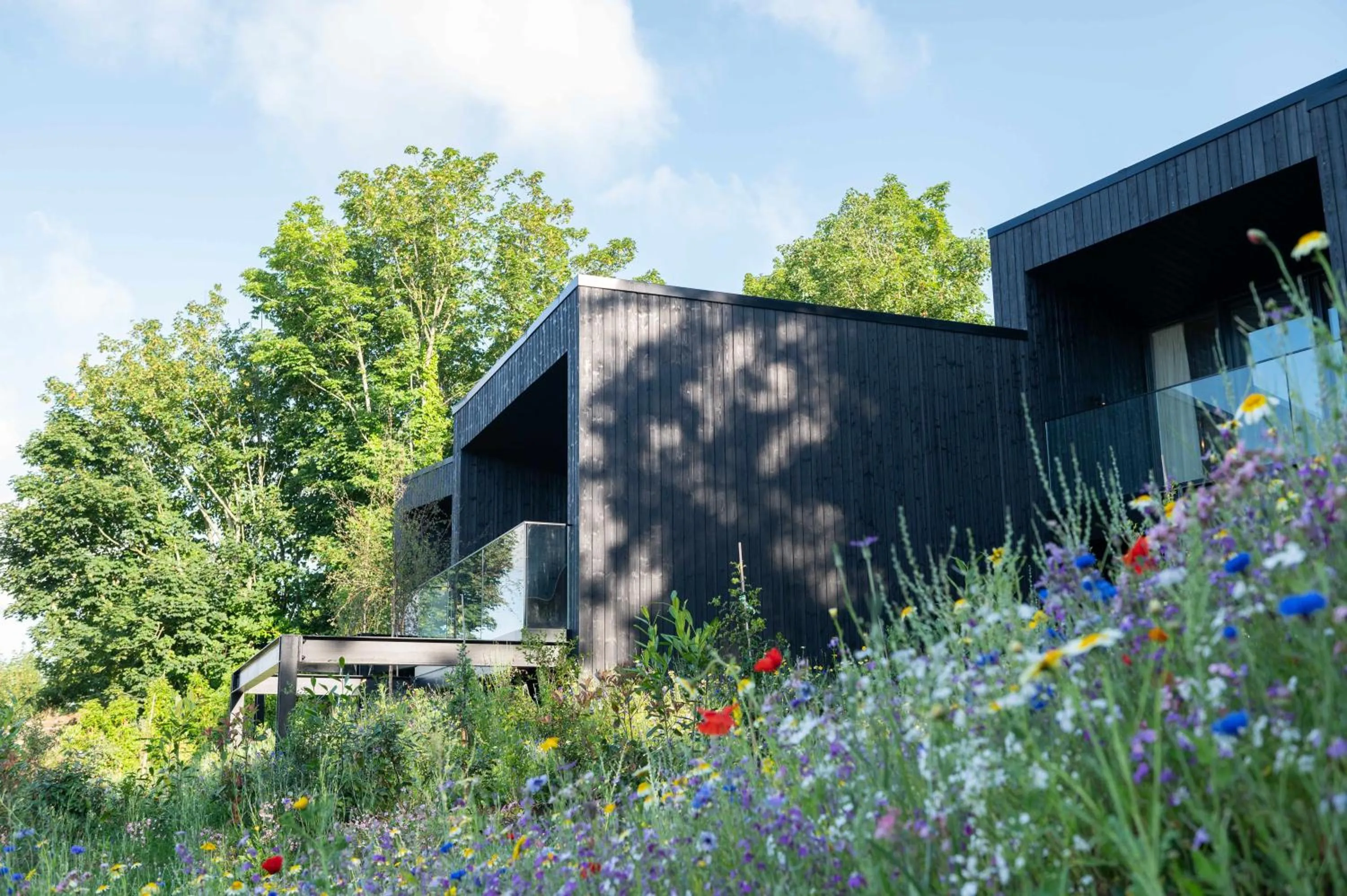 Property building in The Montenotte Hotel