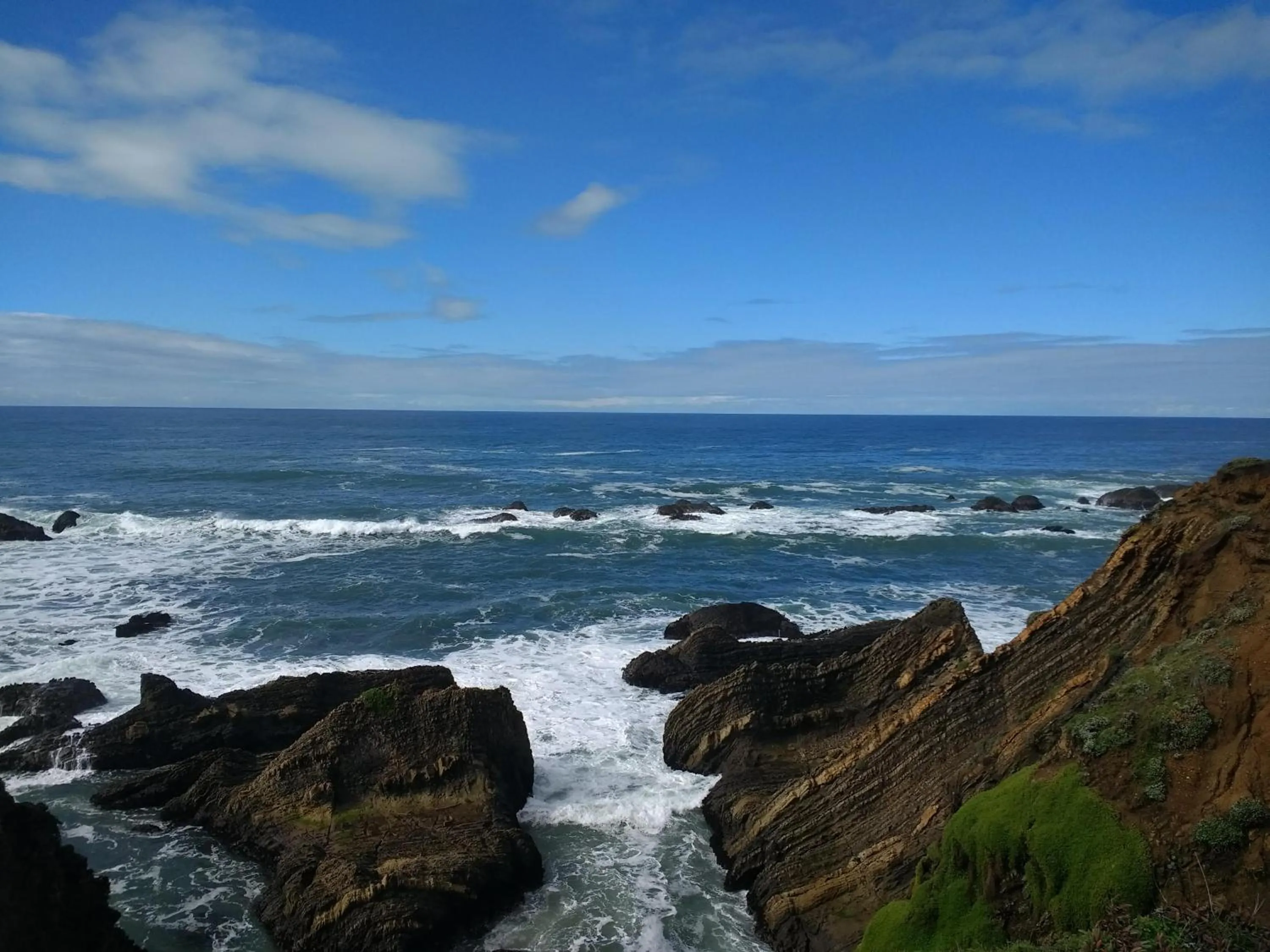 Natural landscape in Point Arena Lighthouse
