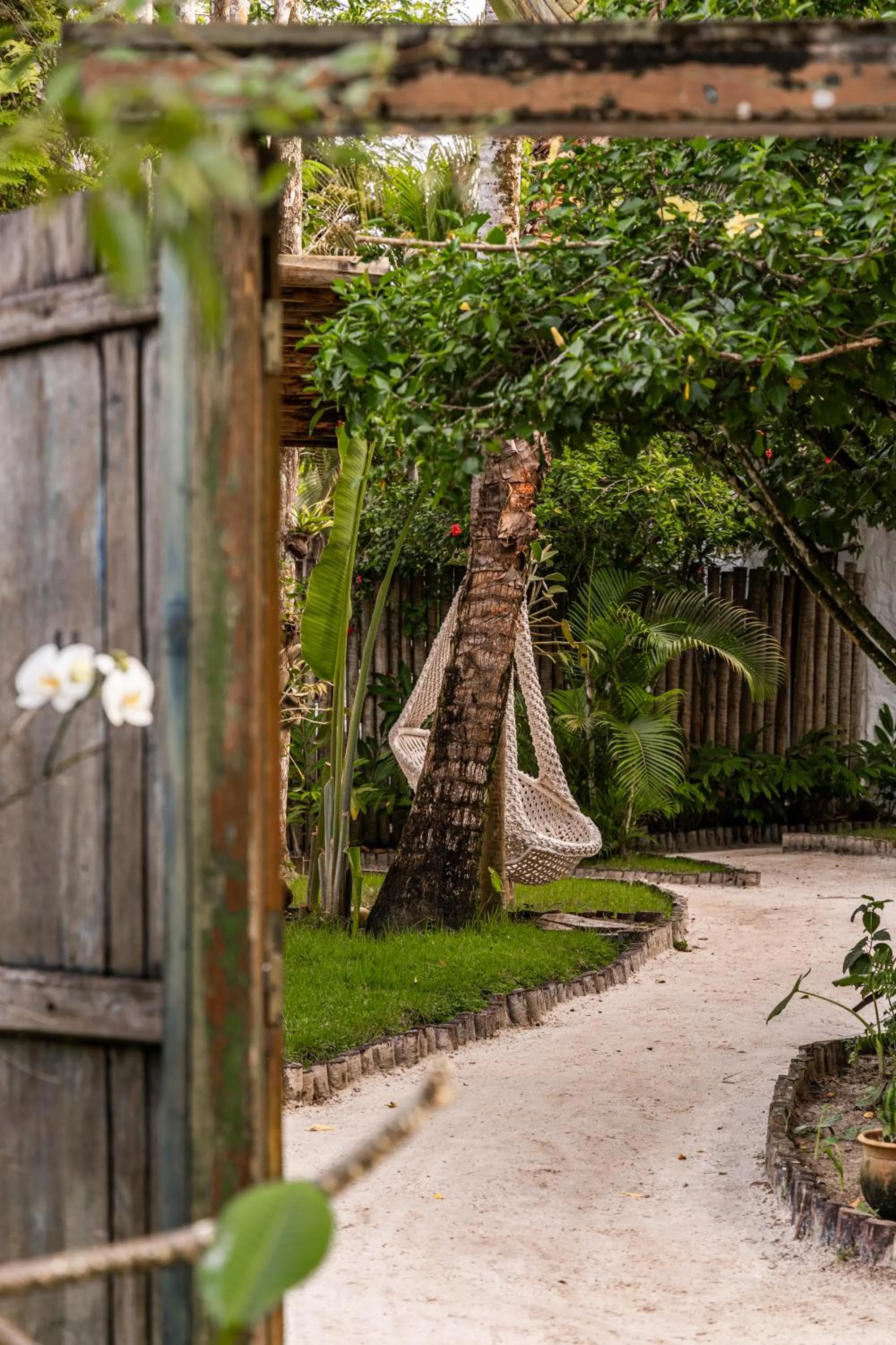 Garden in Hotel Boutique Bahia Bonita