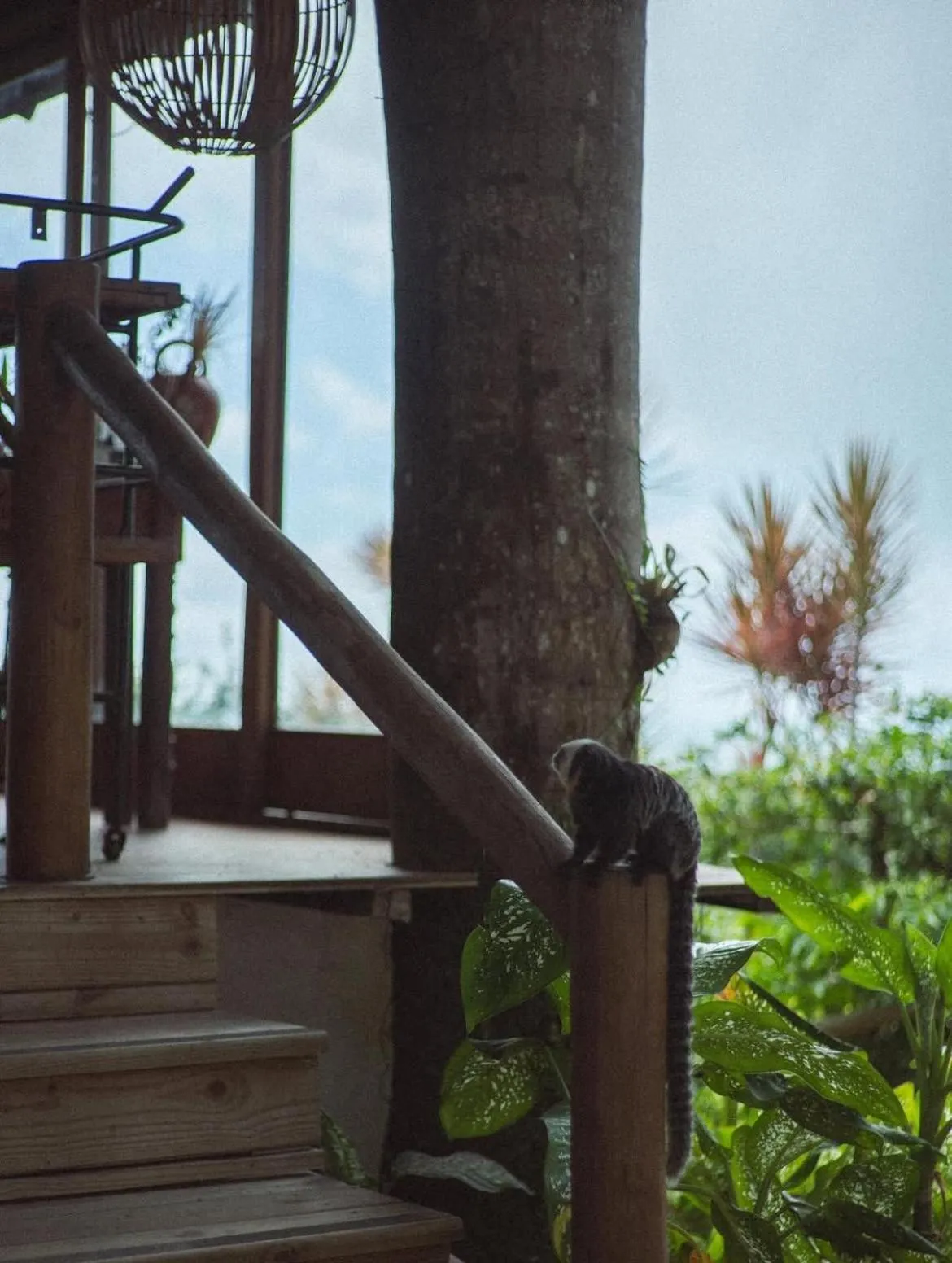 Garden in Hotel Boutique Bahia Bonita