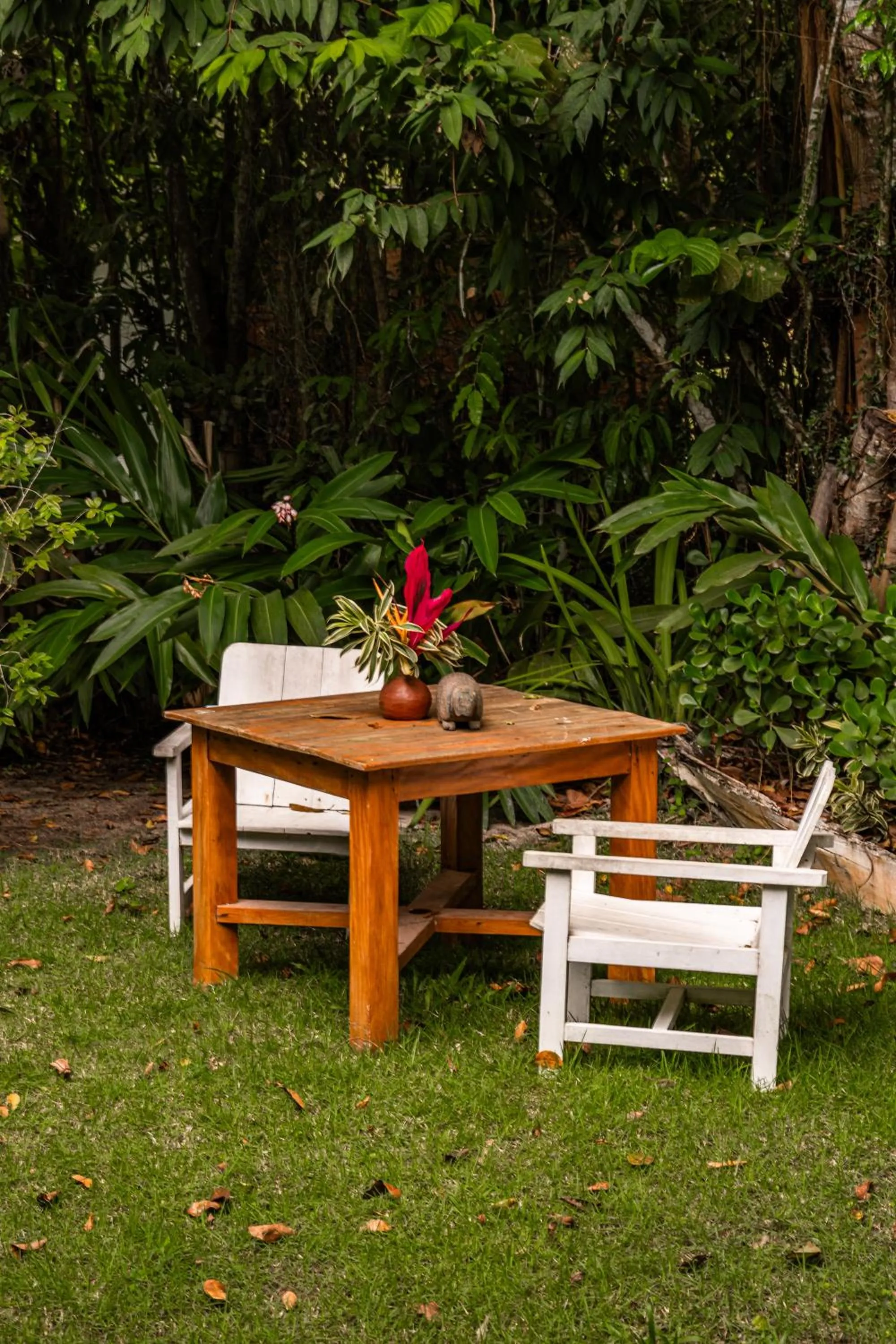 Garden in Hotel Boutique Bahia Bonita