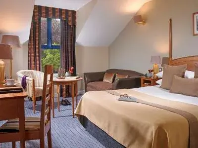 Double Room in The Parkavon Hotel Double Room in The Parkavon Hotel