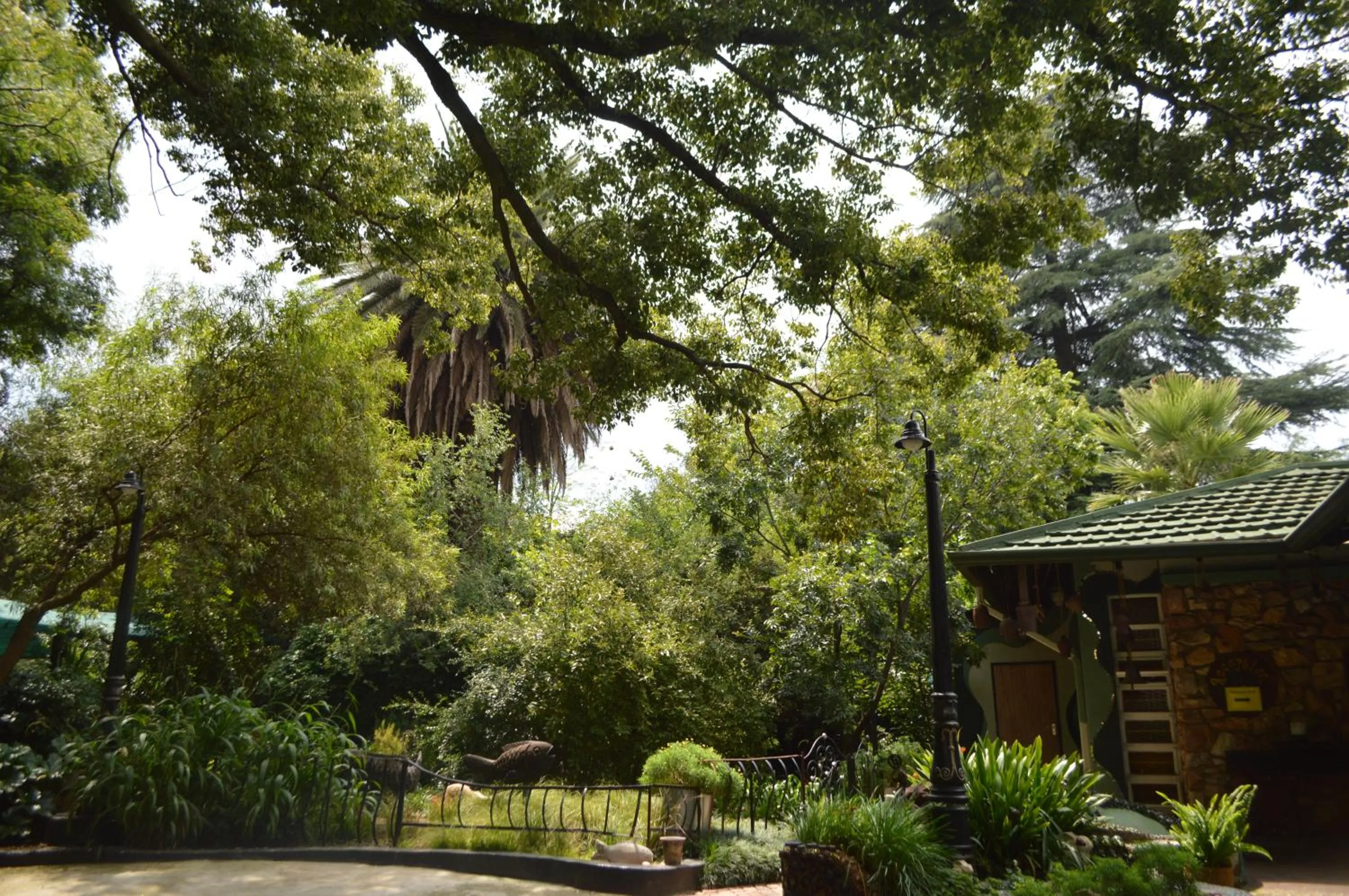 Garden in Rabbit Hole Hotel