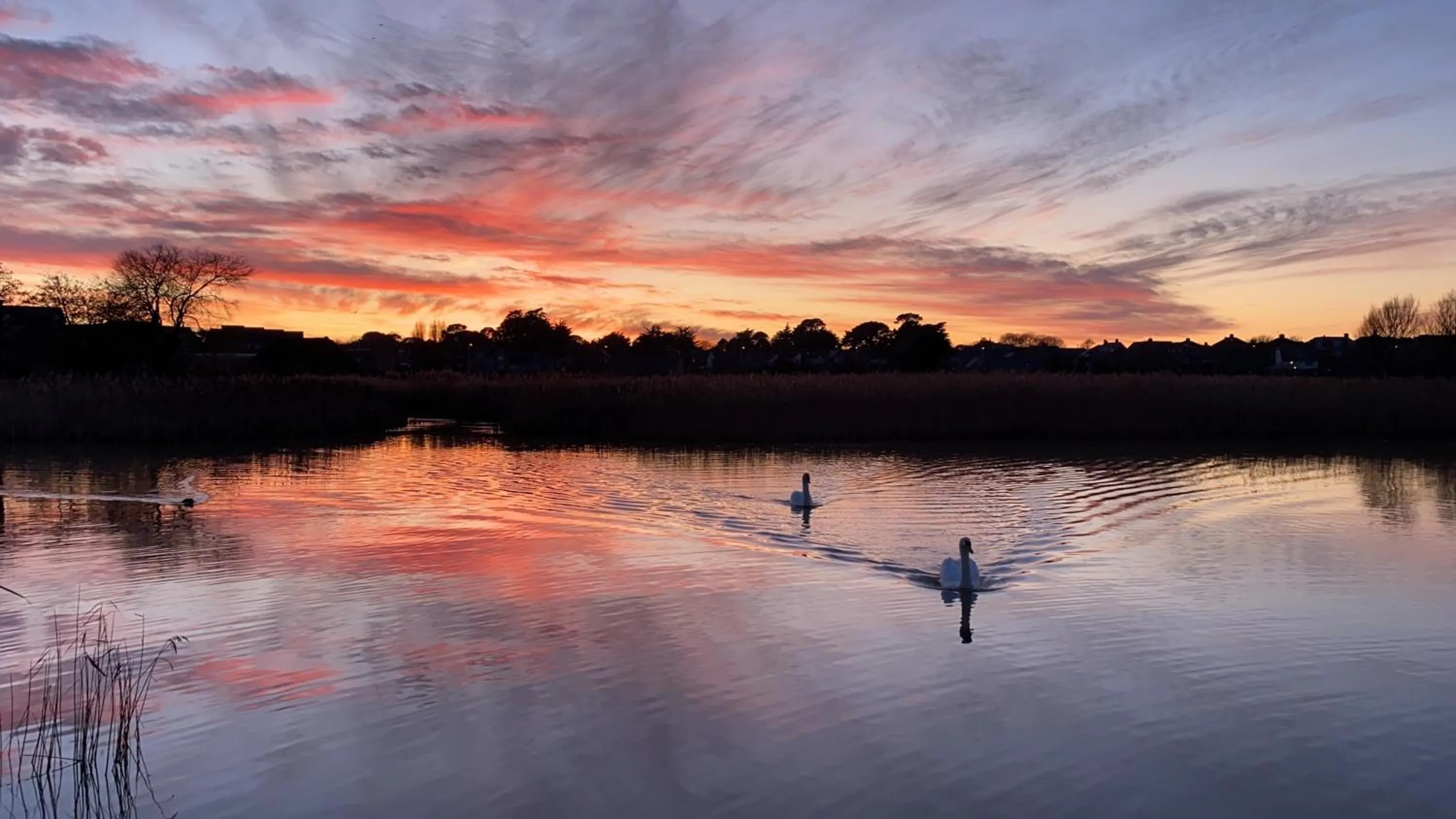 Natural landscape in Alexandra Hotel