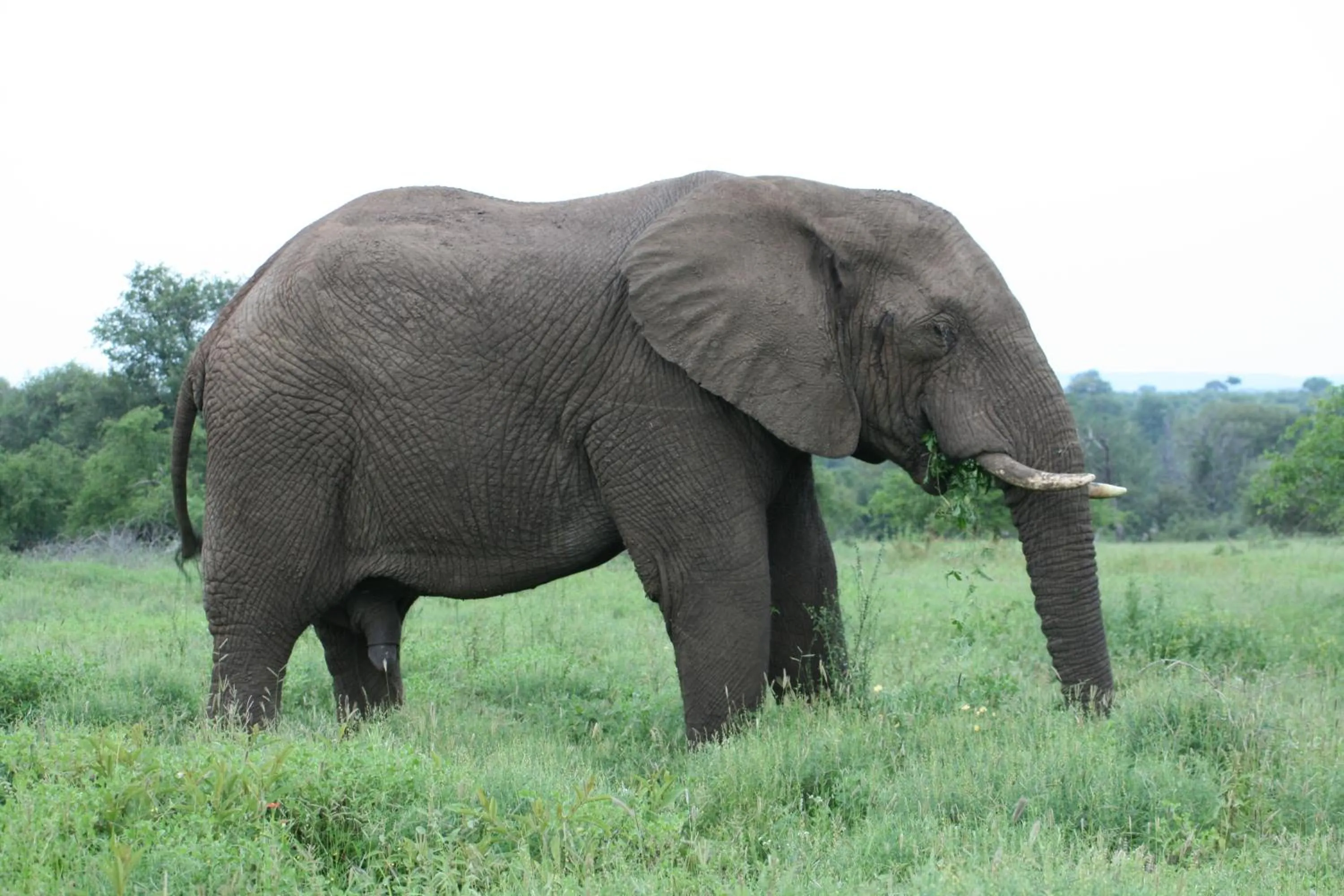 Area and facilities in Needles Lodge