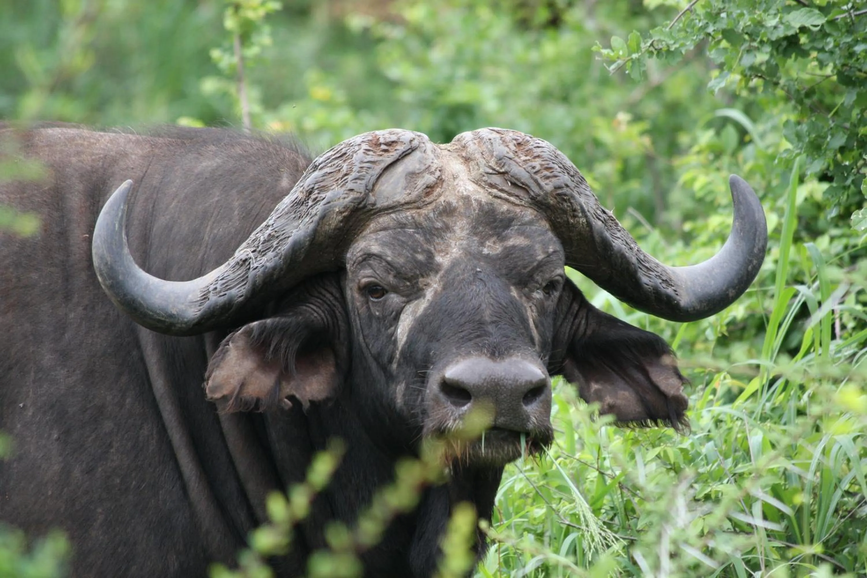 Area and facilities in Needles Lodge
