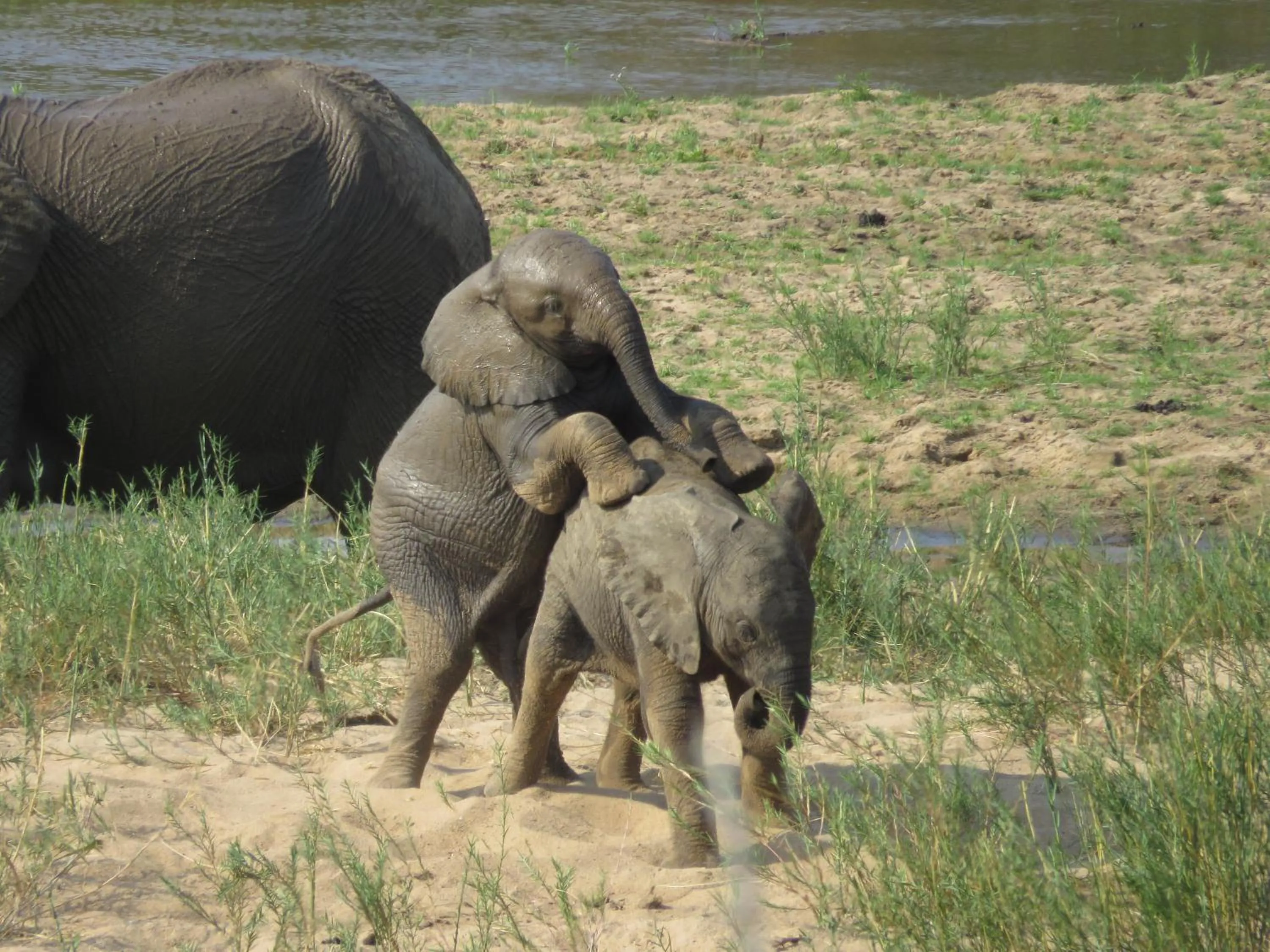 Activities in Needles Lodge