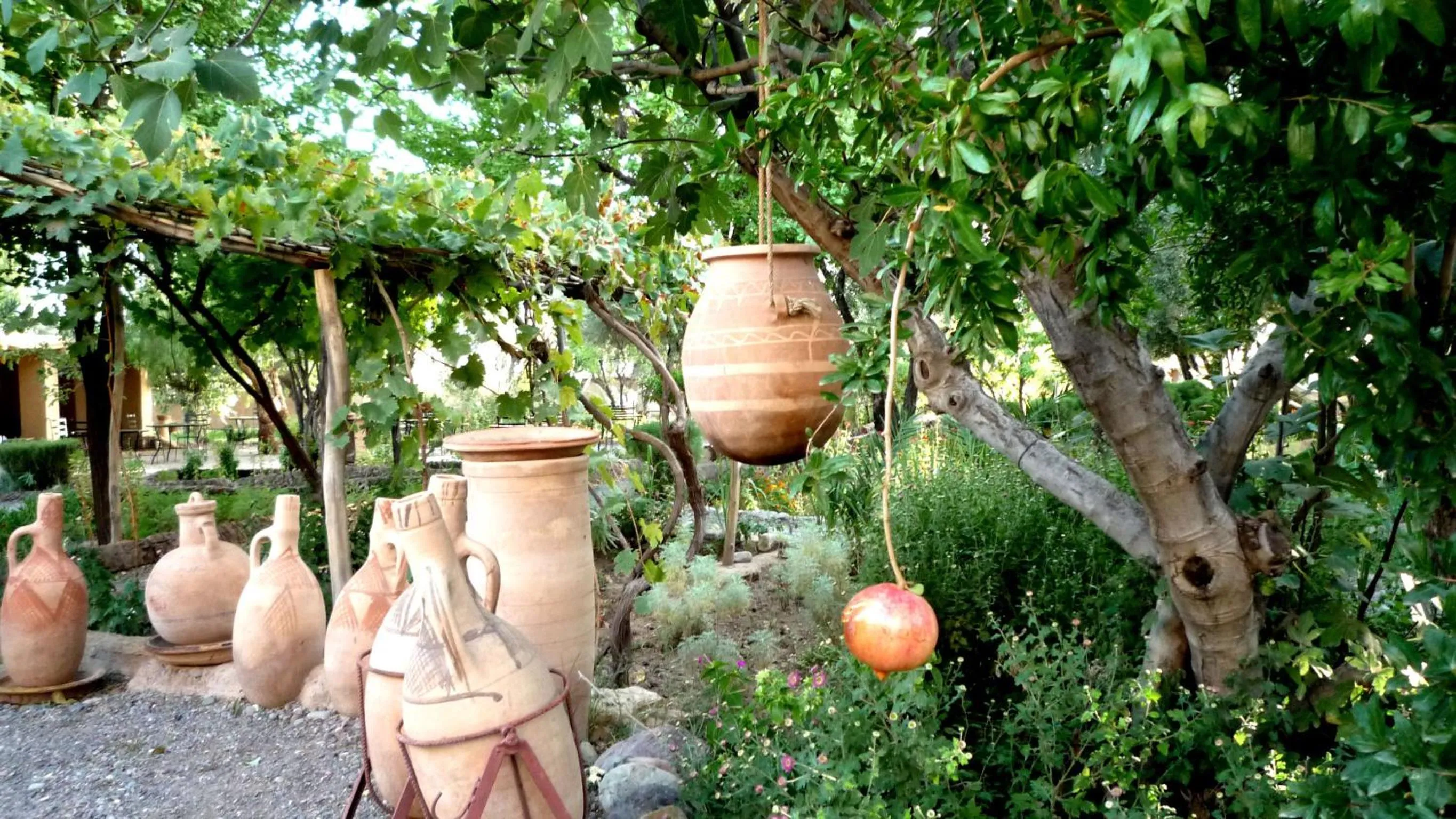 Garden in Les Jardins de Skoura