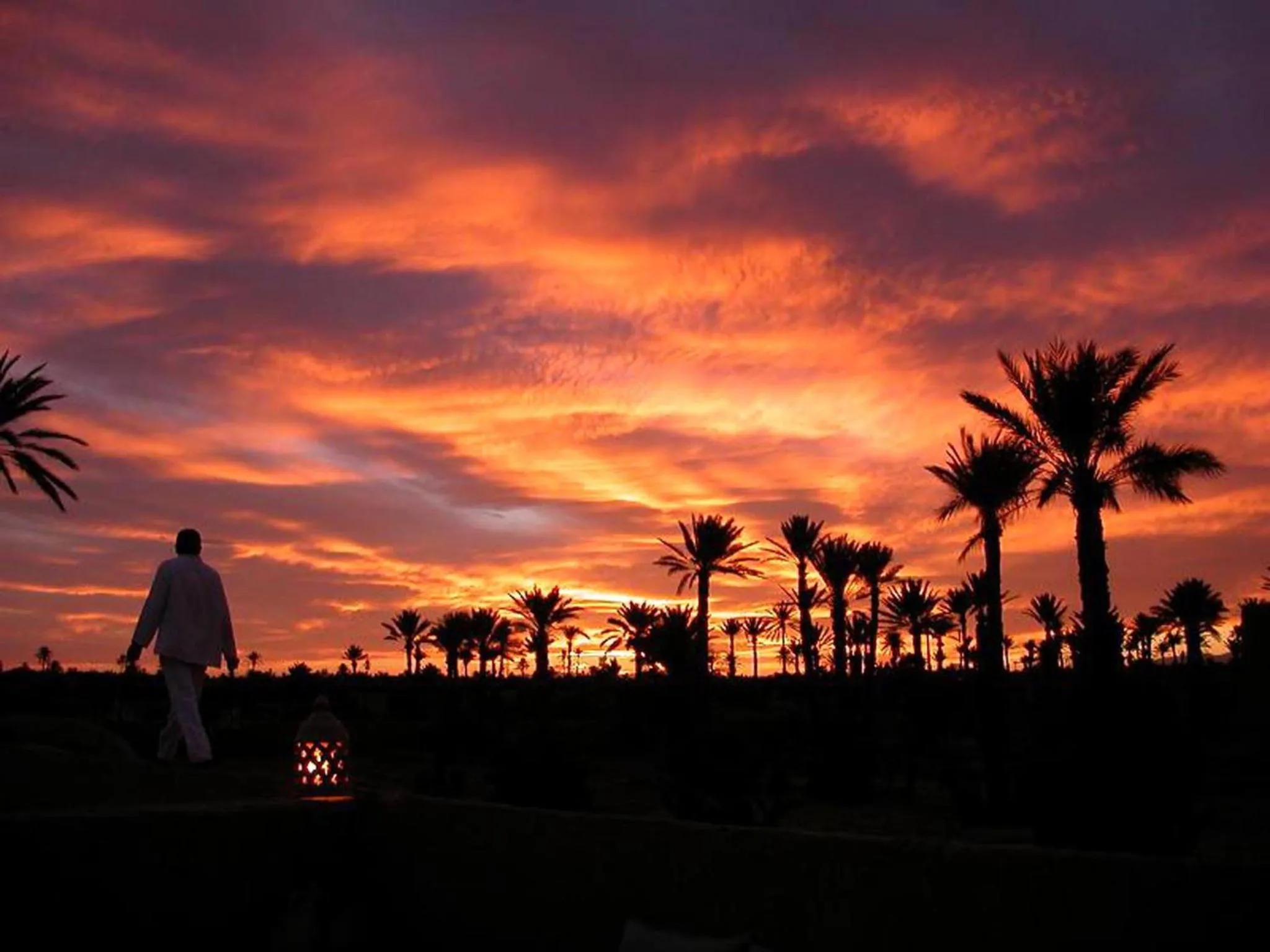 Garden in Les Jardins de Skoura