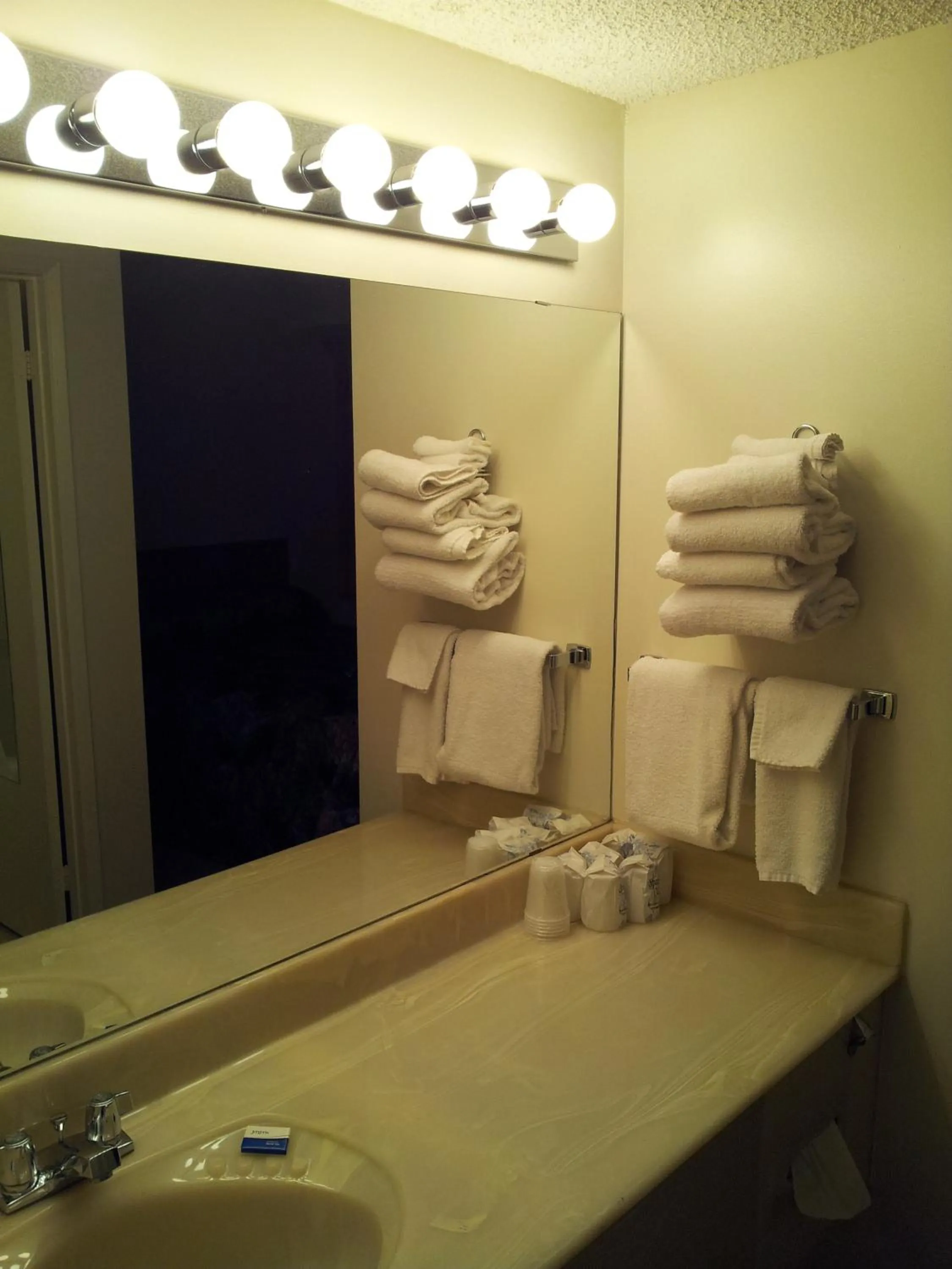 Bathroom in Ramada by Wyndham Medicine Hat