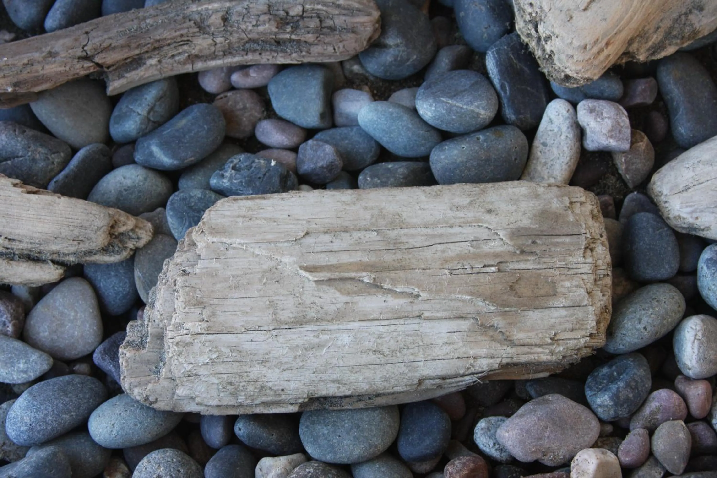 Decorative detail in Heidi's Inn