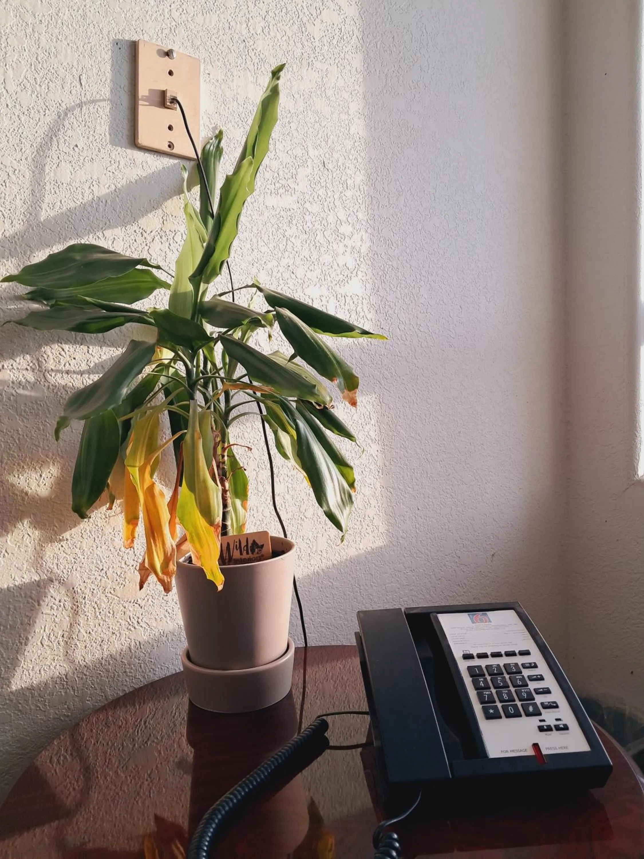 Decorative detail in Motel 6-Regina, SK
