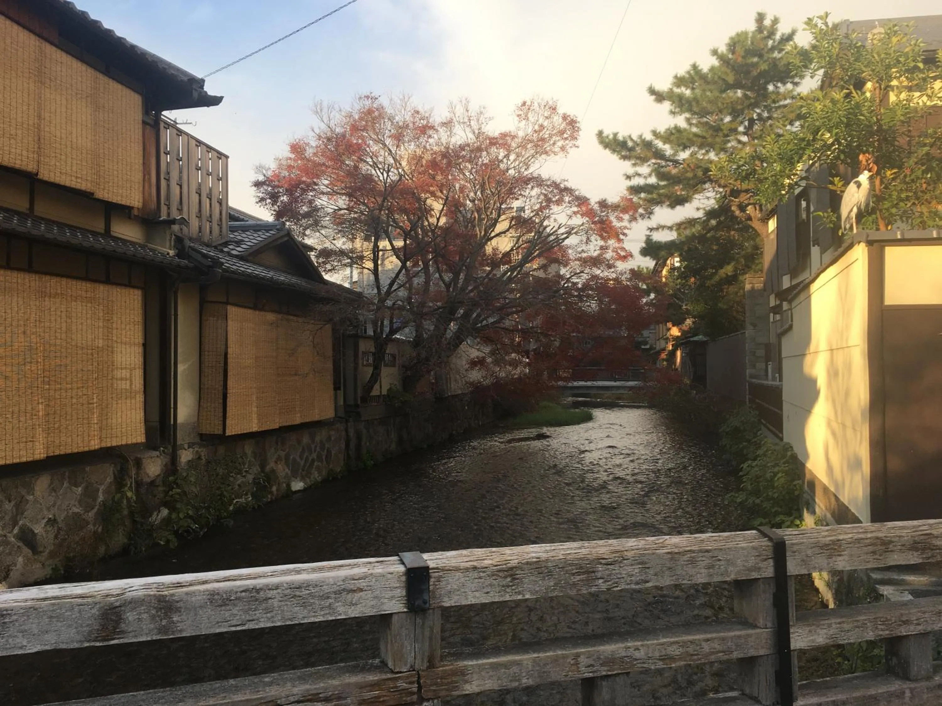 Other in Kyoto Gion U-BELL Hotel