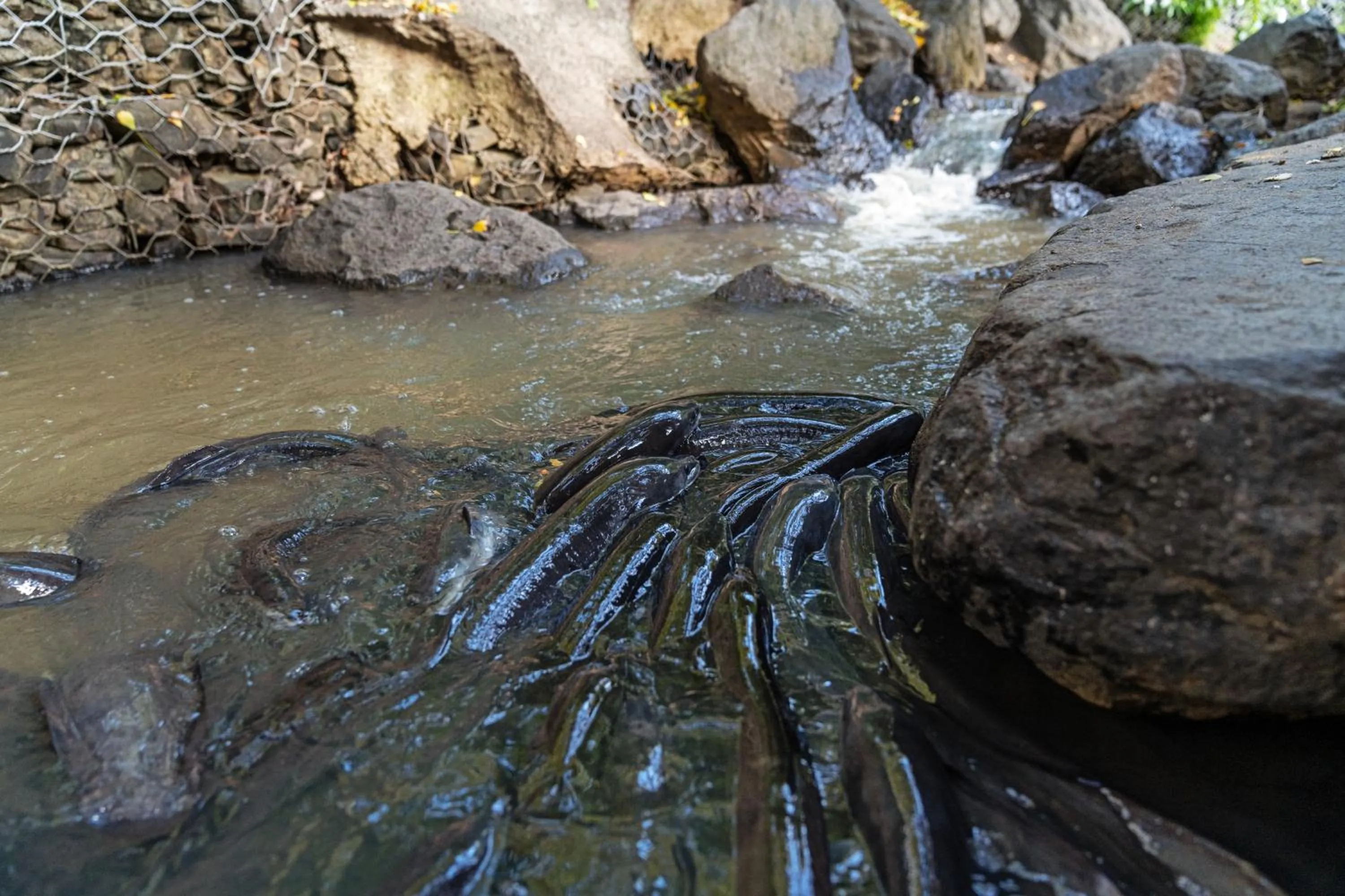 Tasman Holiday Parks - Waihi Beach