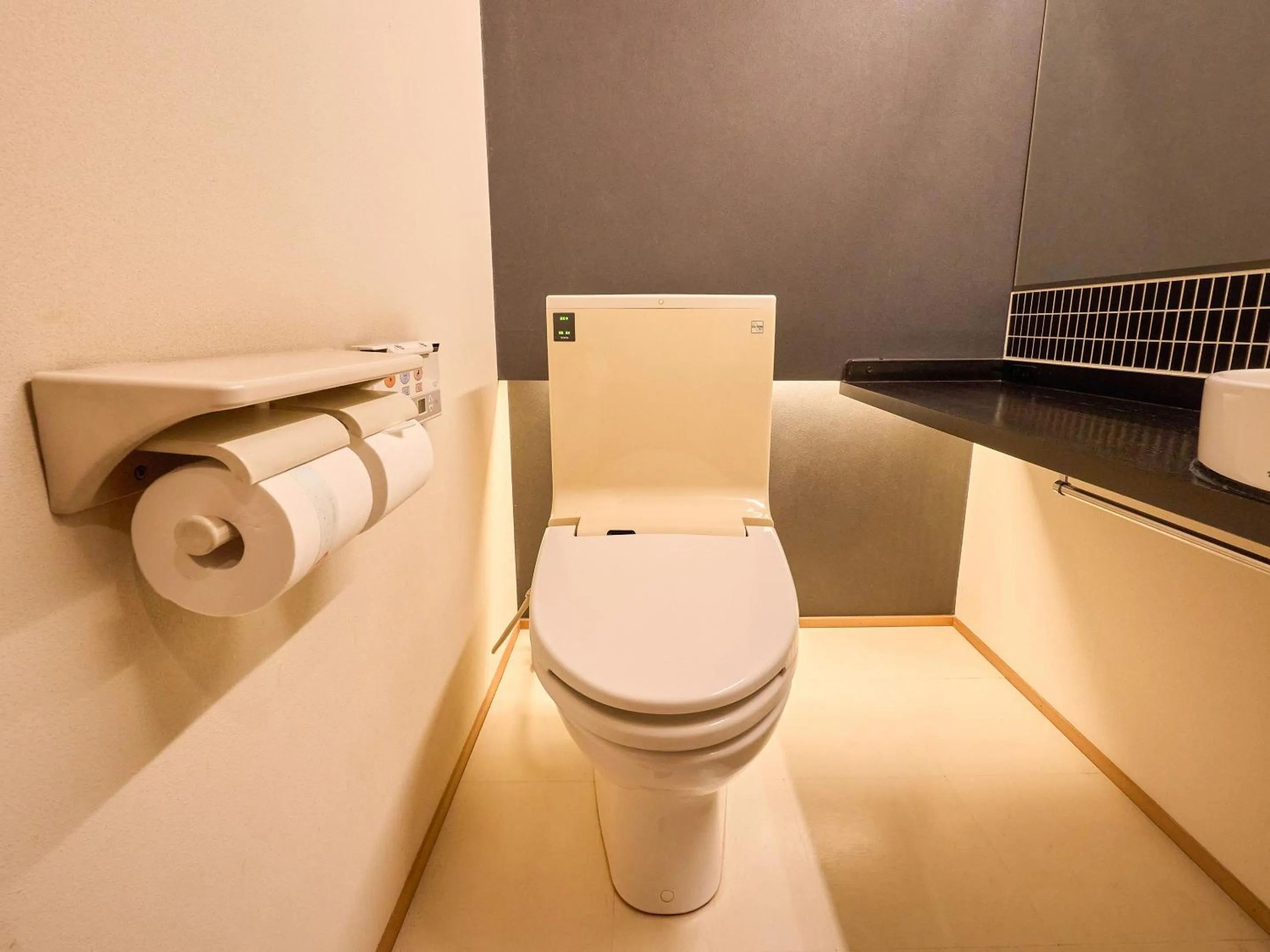 Toilet in Seikansou