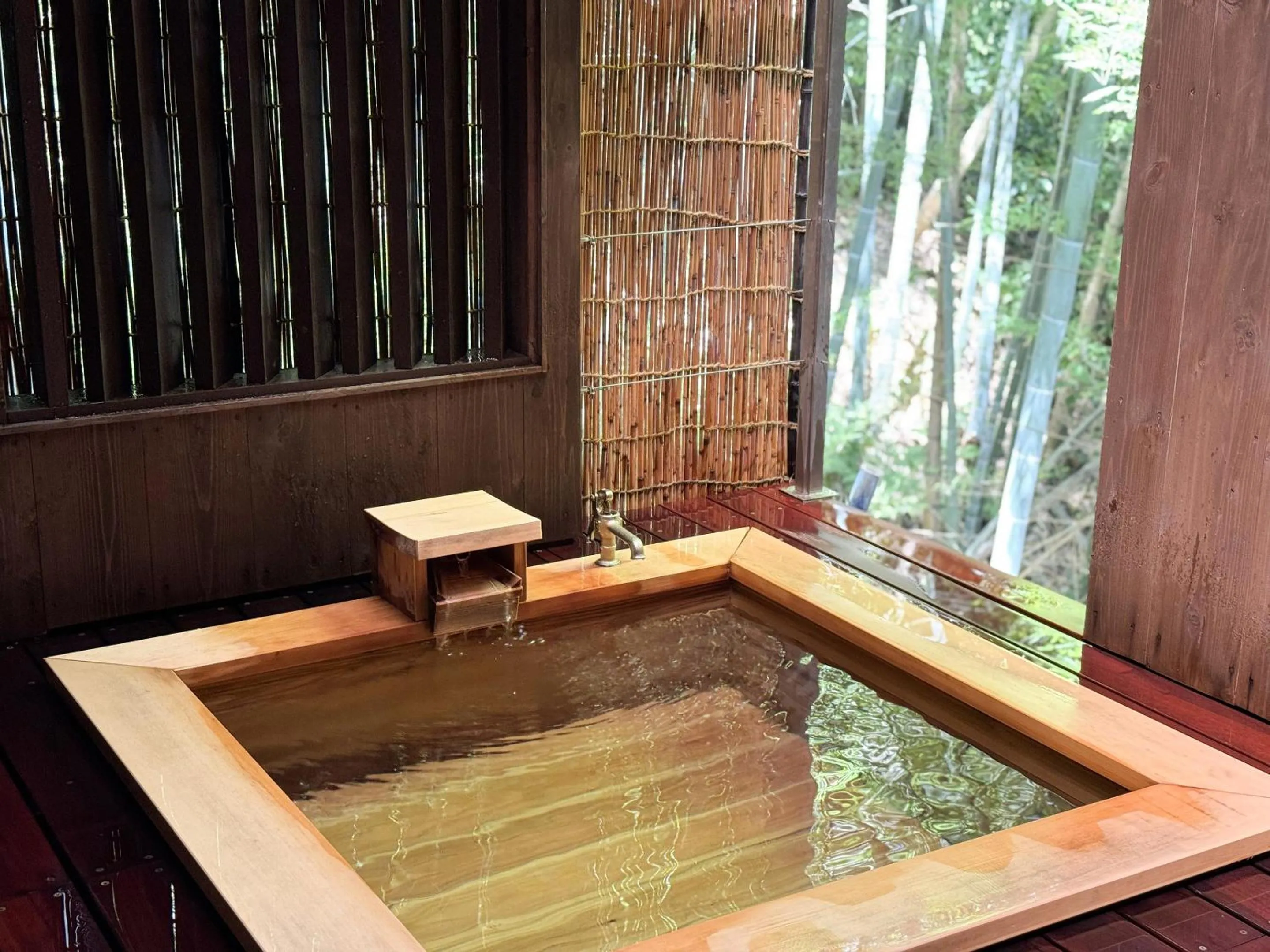 Hot Spring Bath in Seikansou