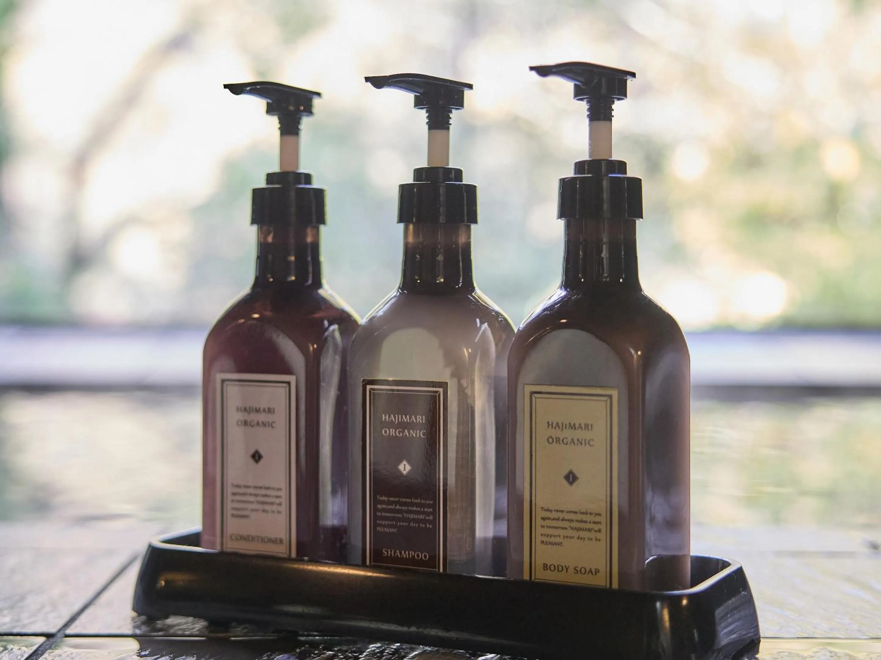 Area and facilities in Seikansou