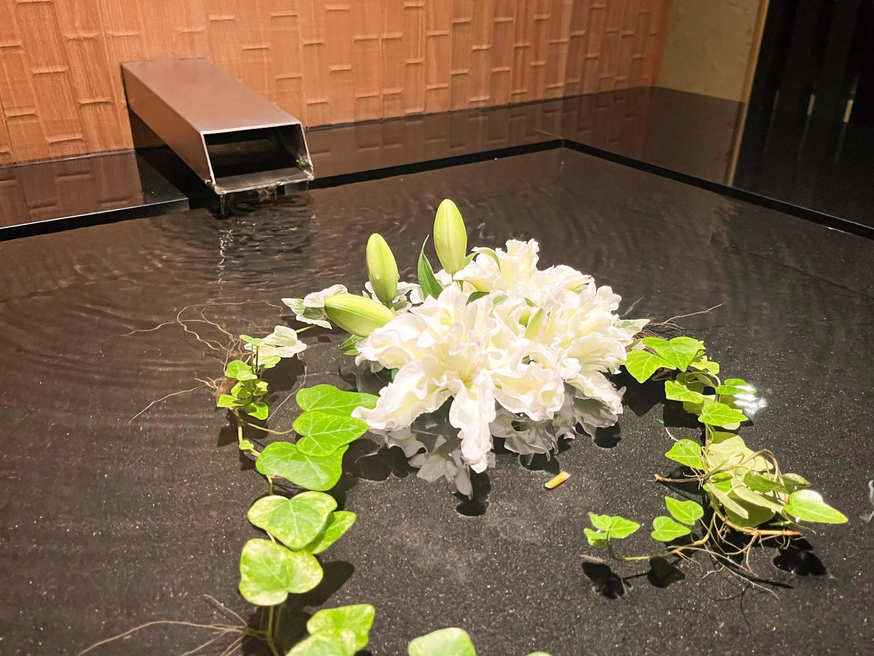 Area and facilities in Seikansou