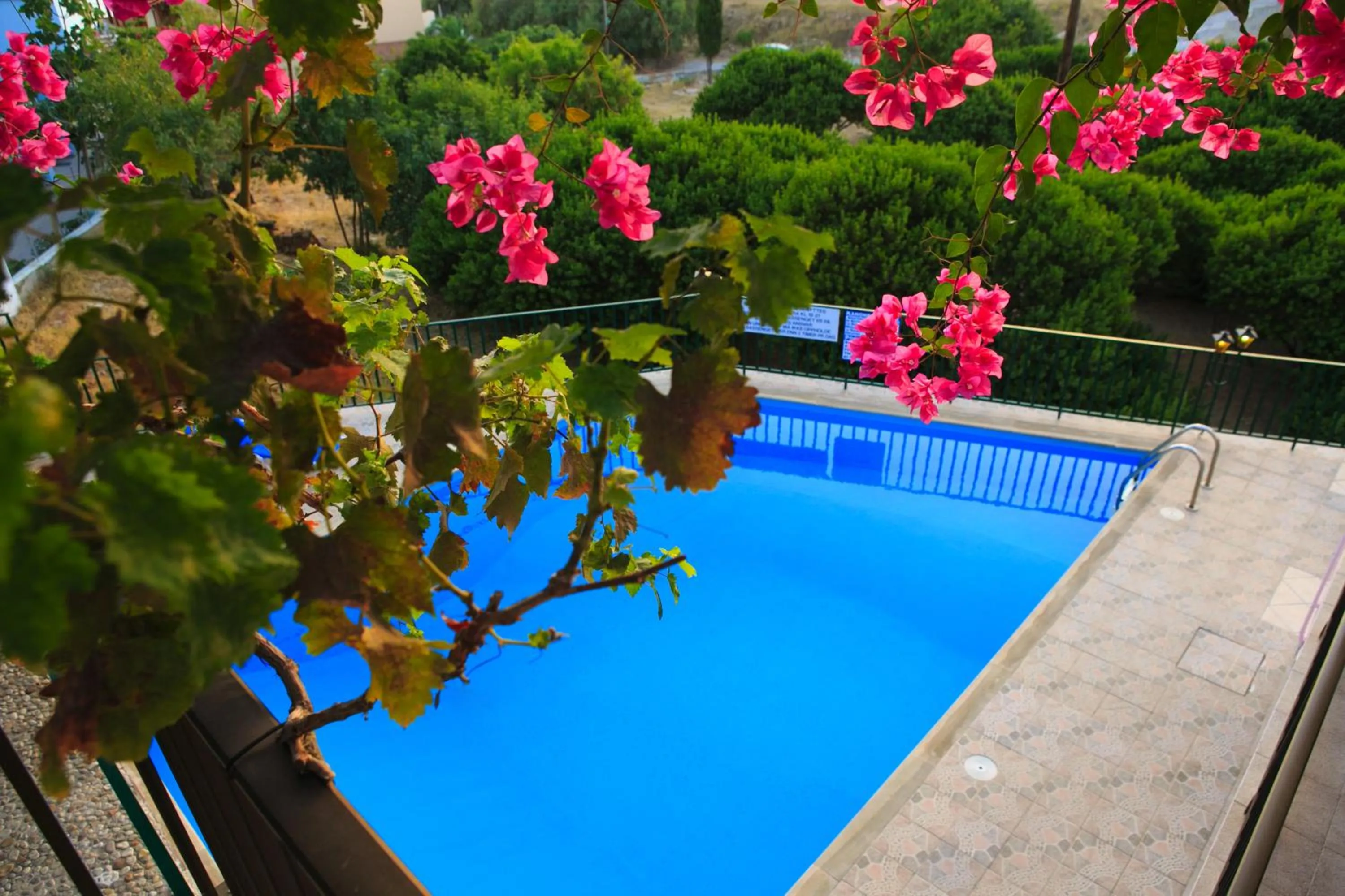 Swimming pool in Stroubis Studios I