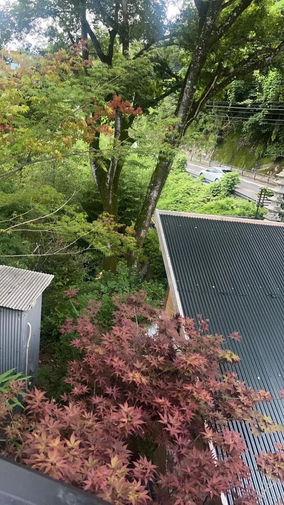 Natural landscape in WEST in