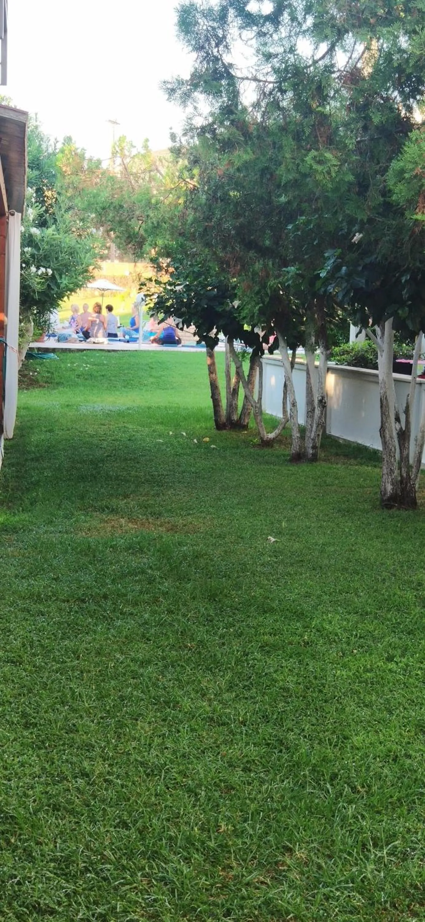 Garden in Hotel Peli