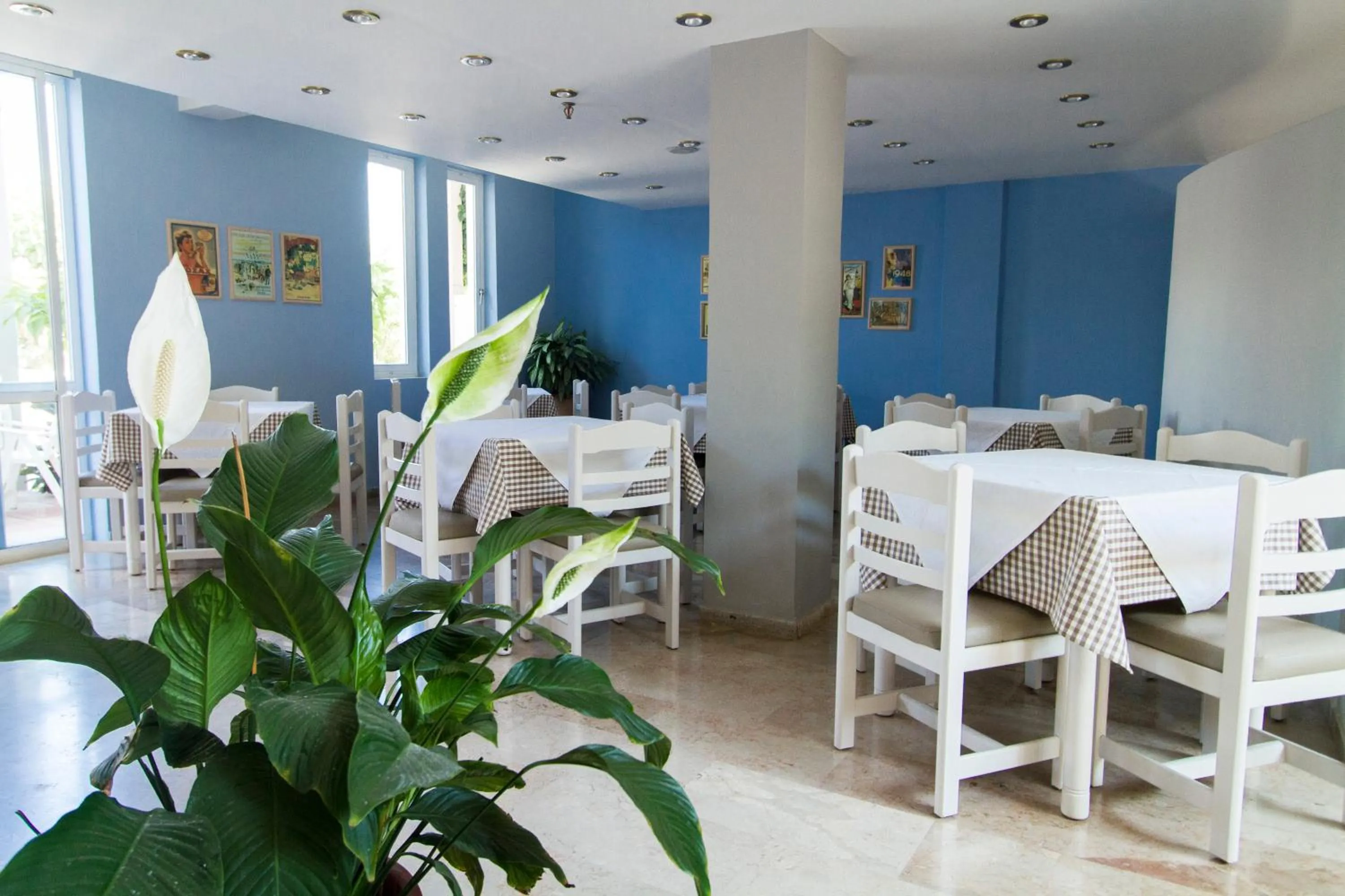 Restaurant/places to eat in Hotel Peli