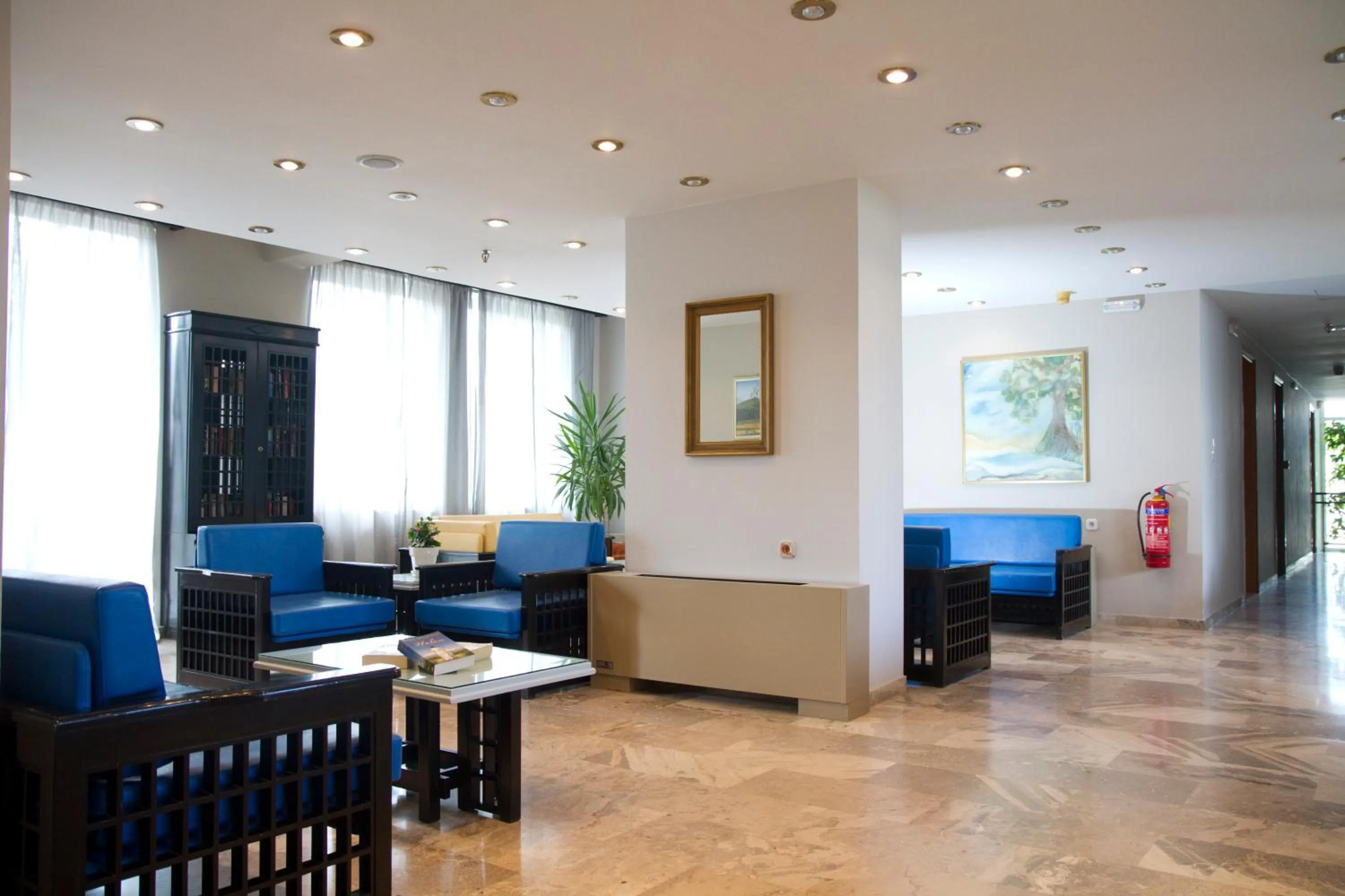 Library in Hotel Peli