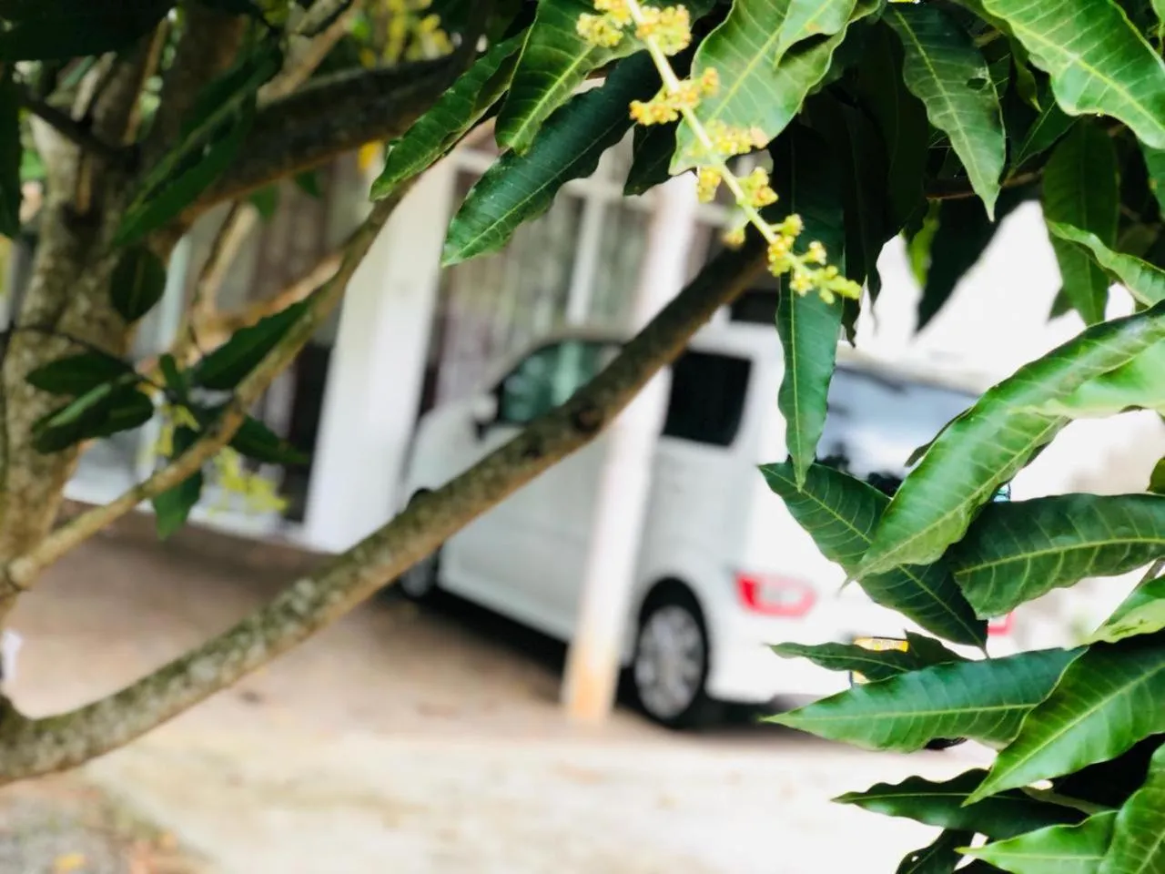 Garden view in Samanala Resort