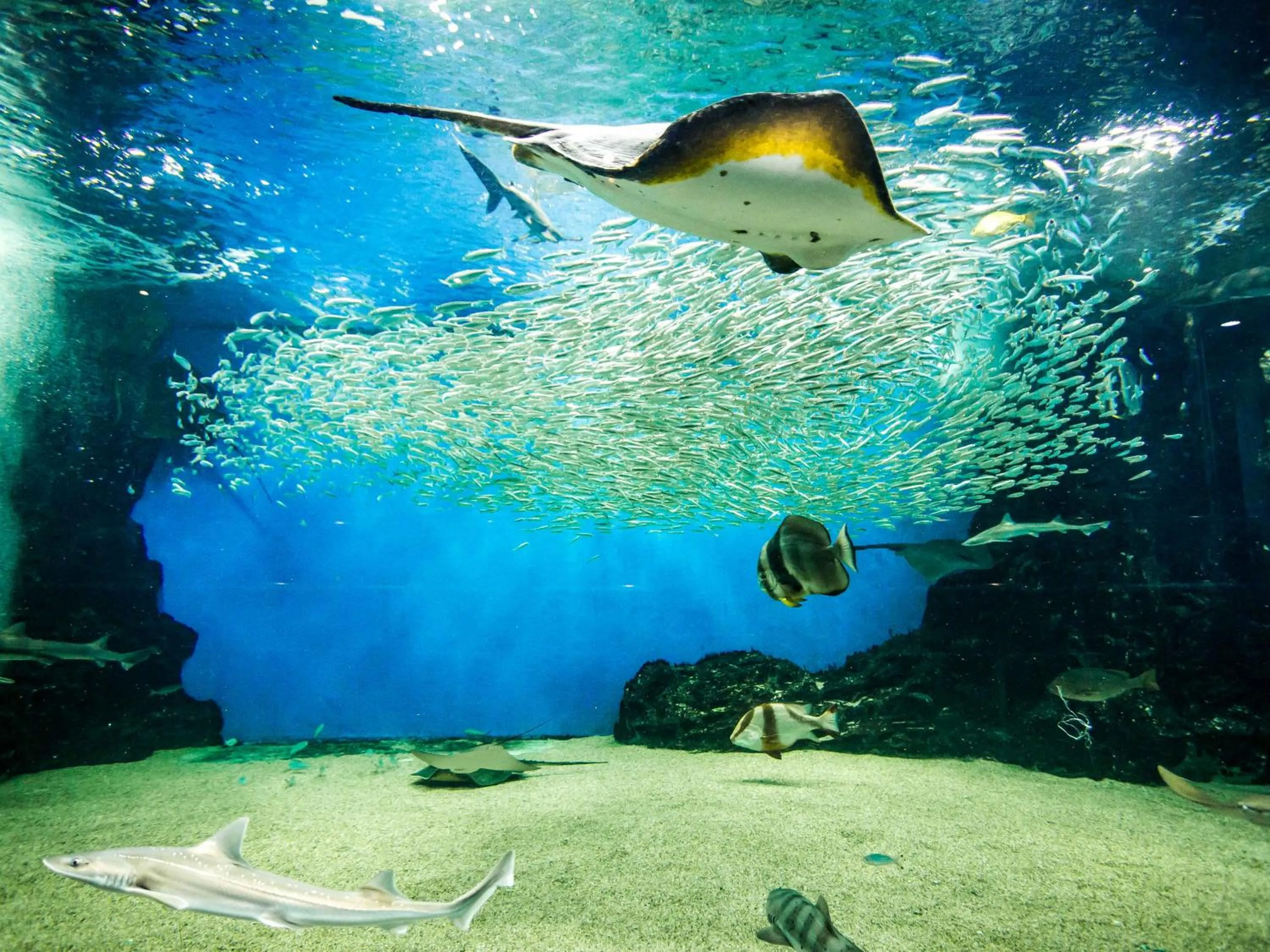Nearby landmark in Awara Onsen Minoya Taiheikaku