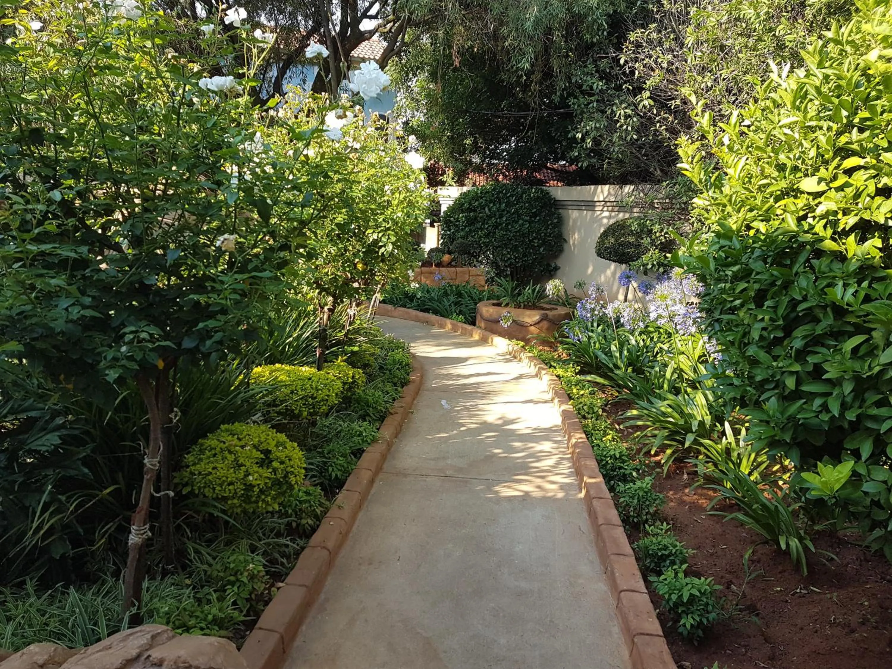 Garden in Homestay Travel Guest House