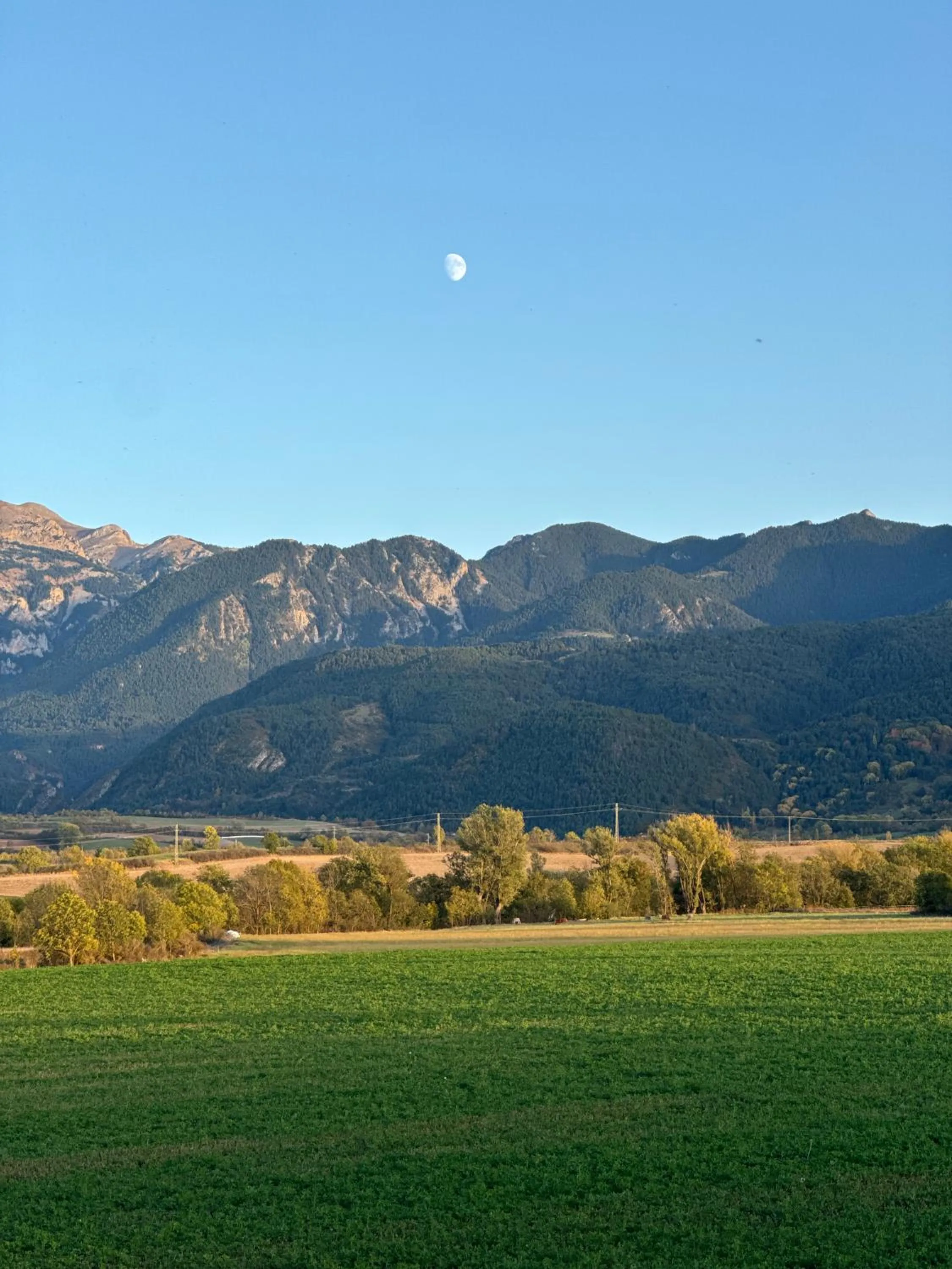Natural landscape in Hotel Cal Rei de Talló