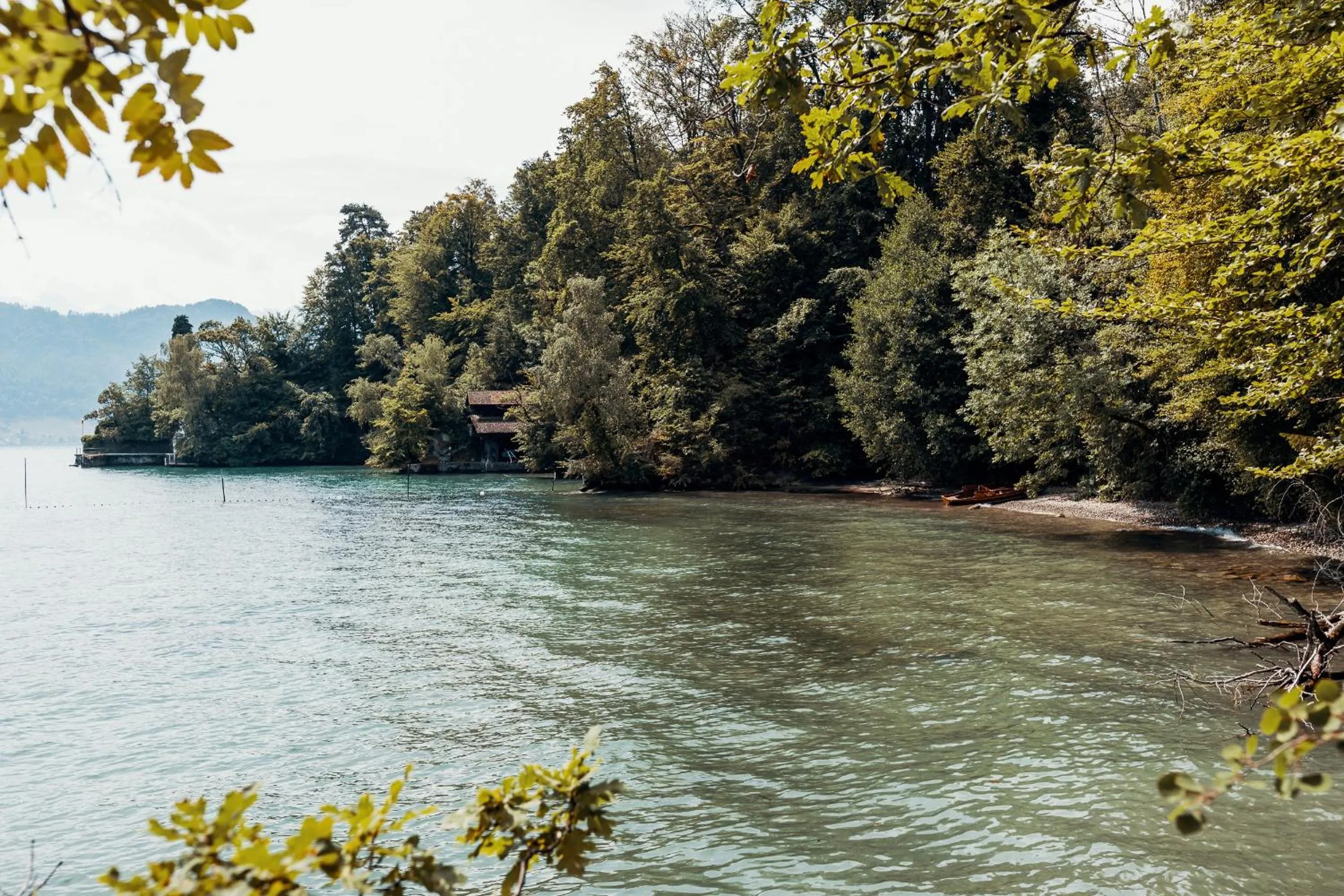 Natural landscape in Lake Villa Lotus
