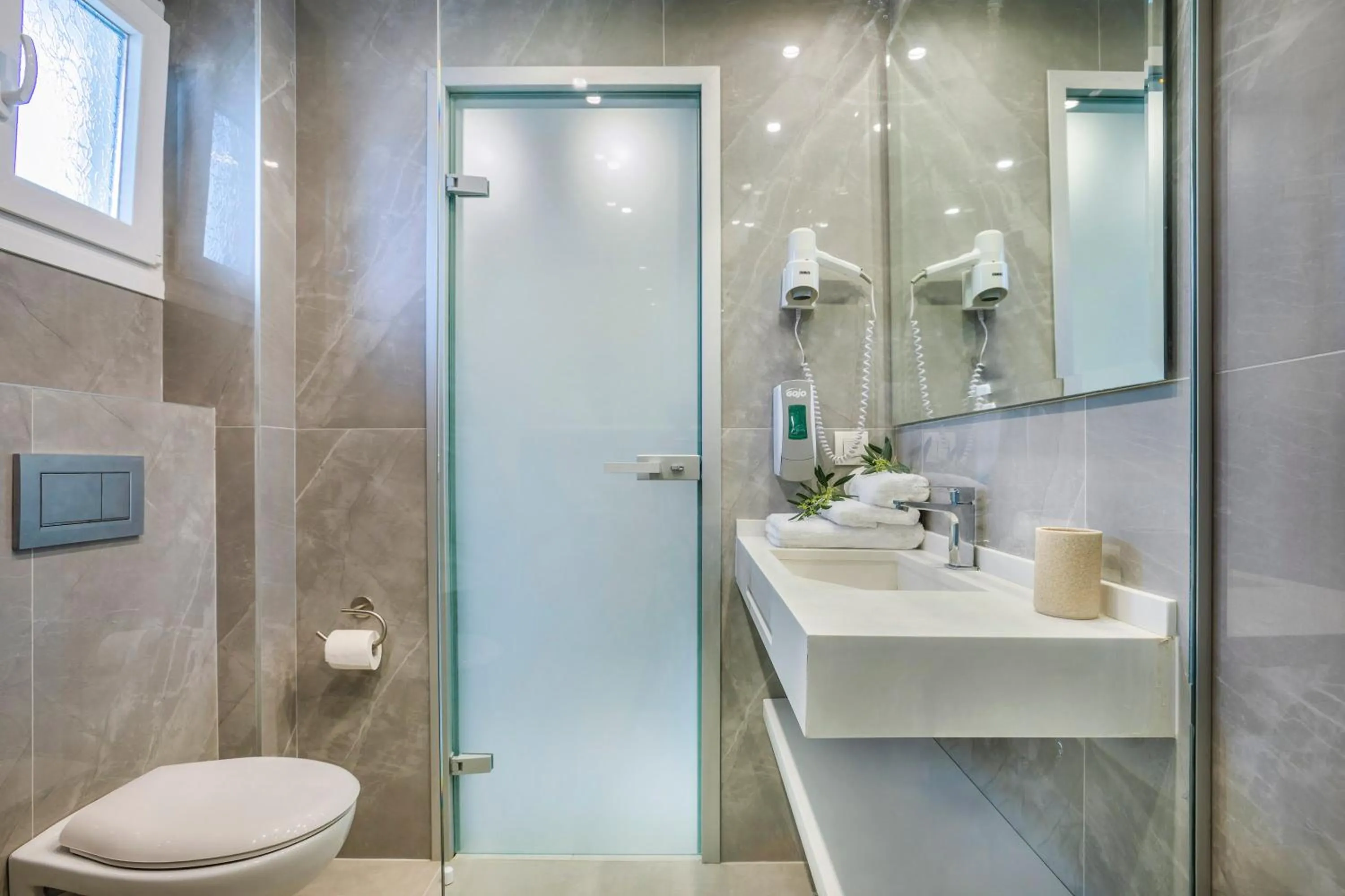 Toilet in Anna Family