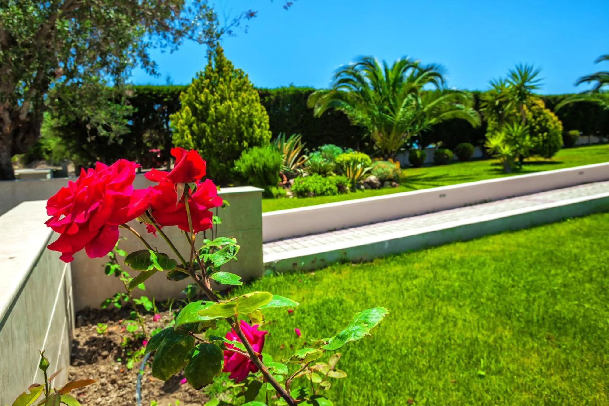 Garden in Anna Family