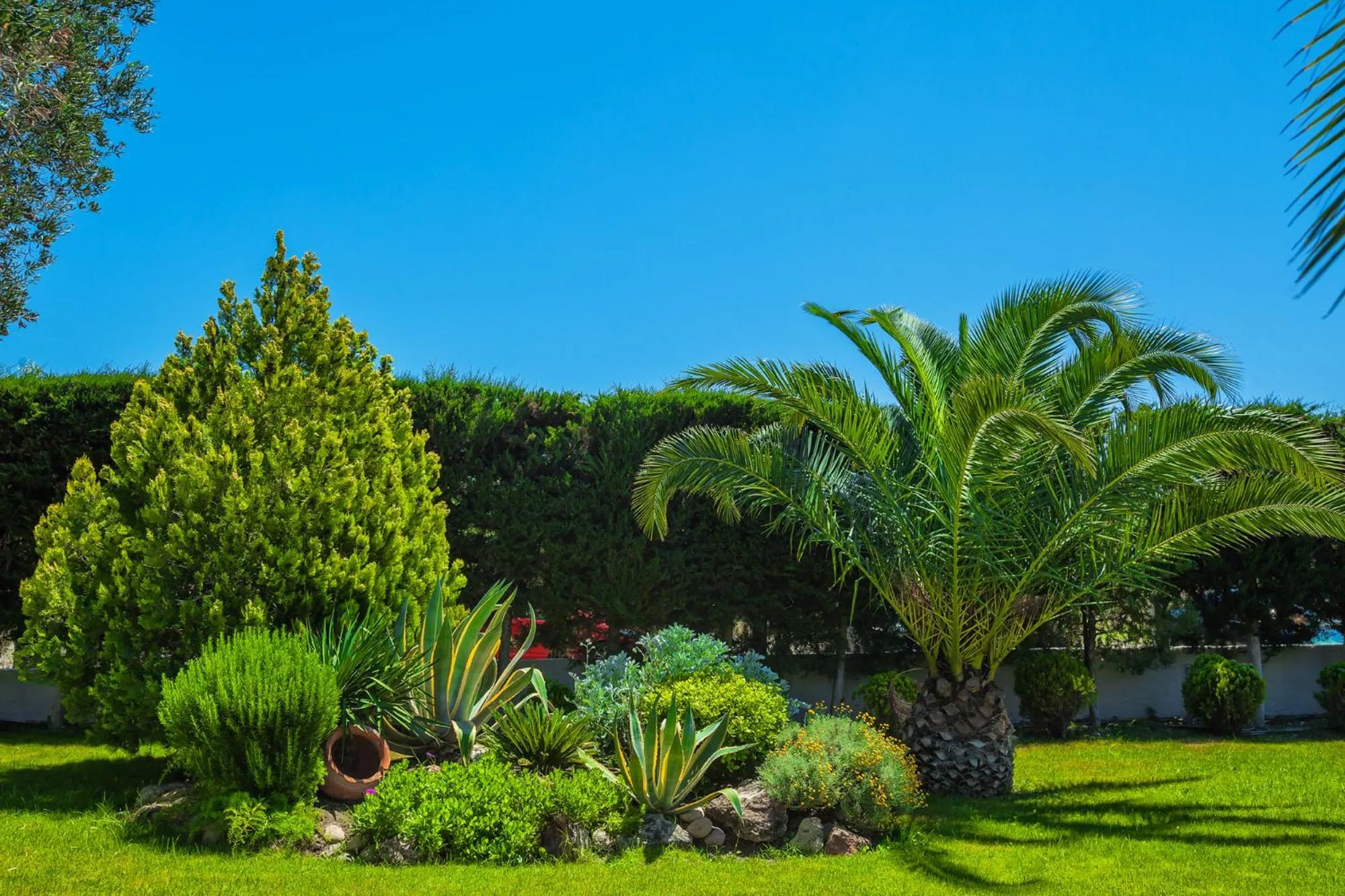 Garden in Anna Family