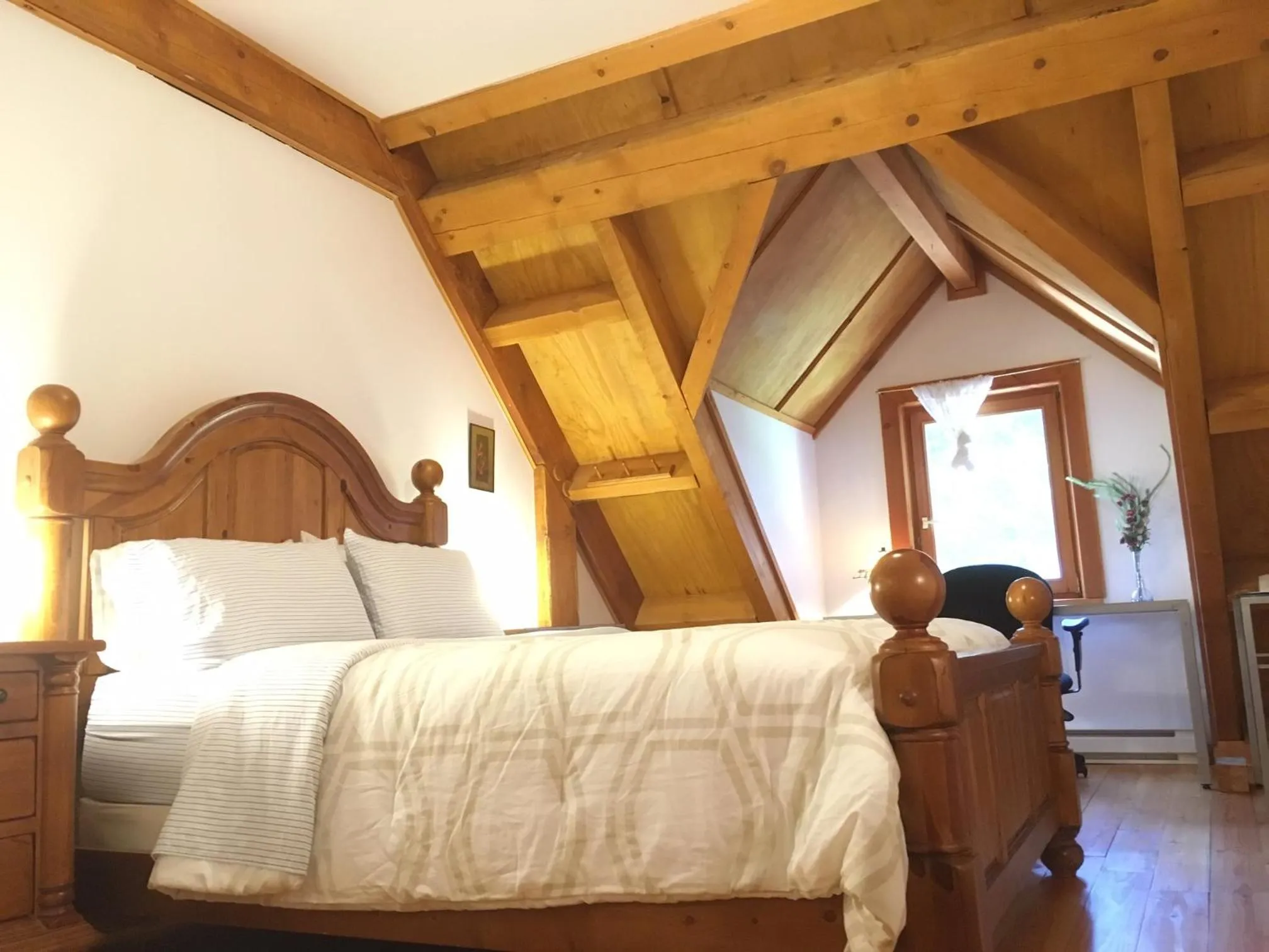 Bed in Owl Street Lodge